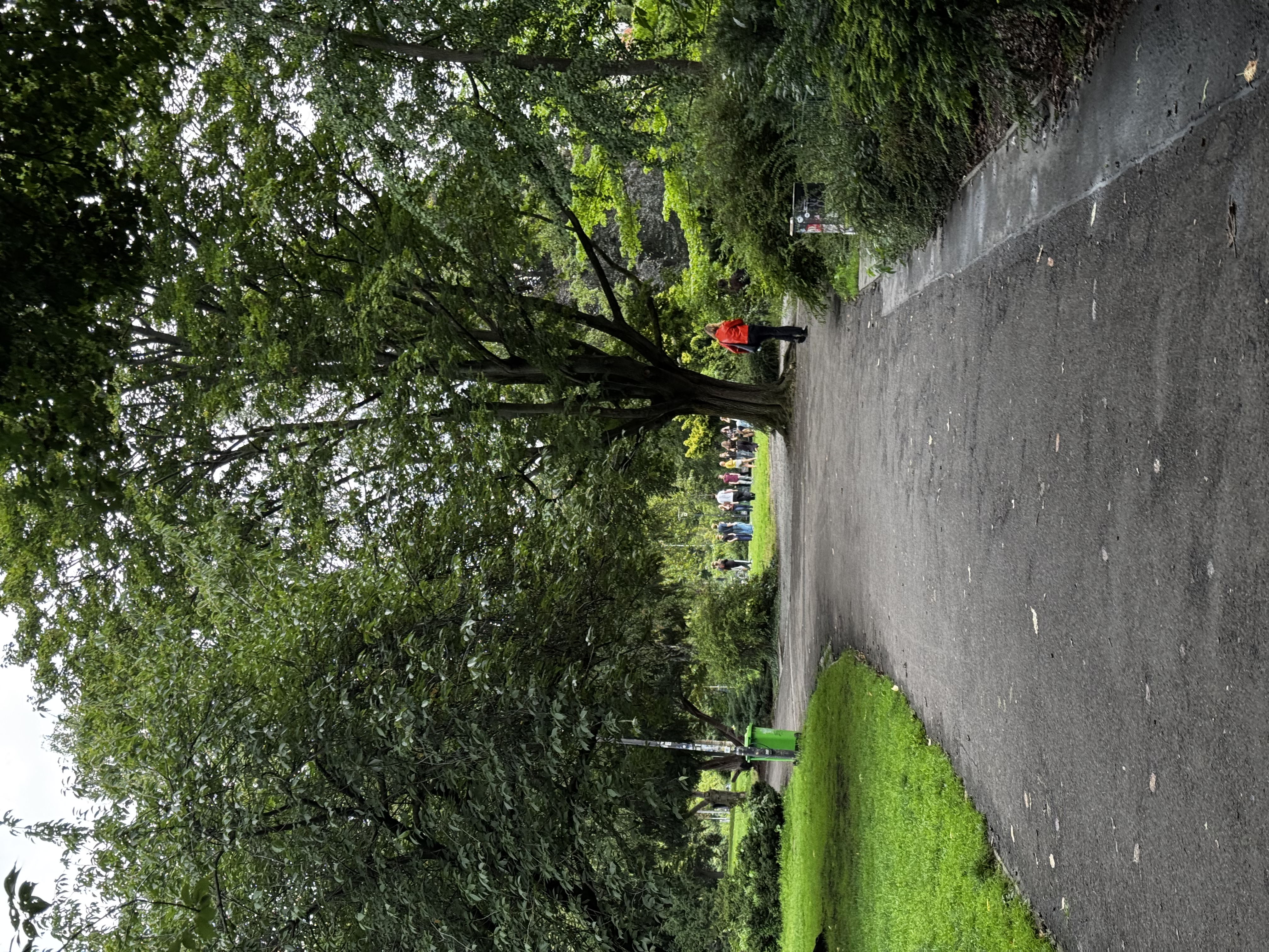 image-18