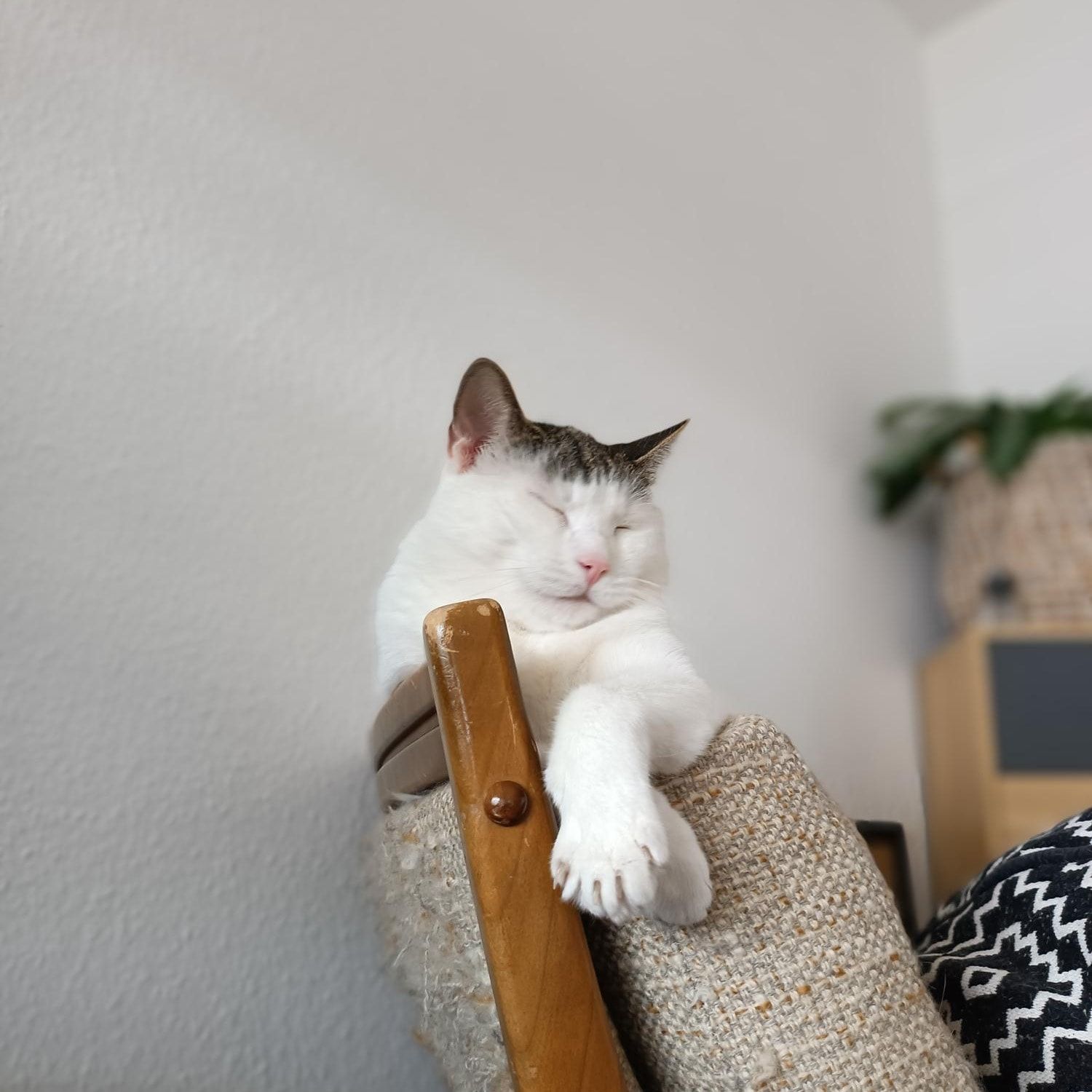 Milow