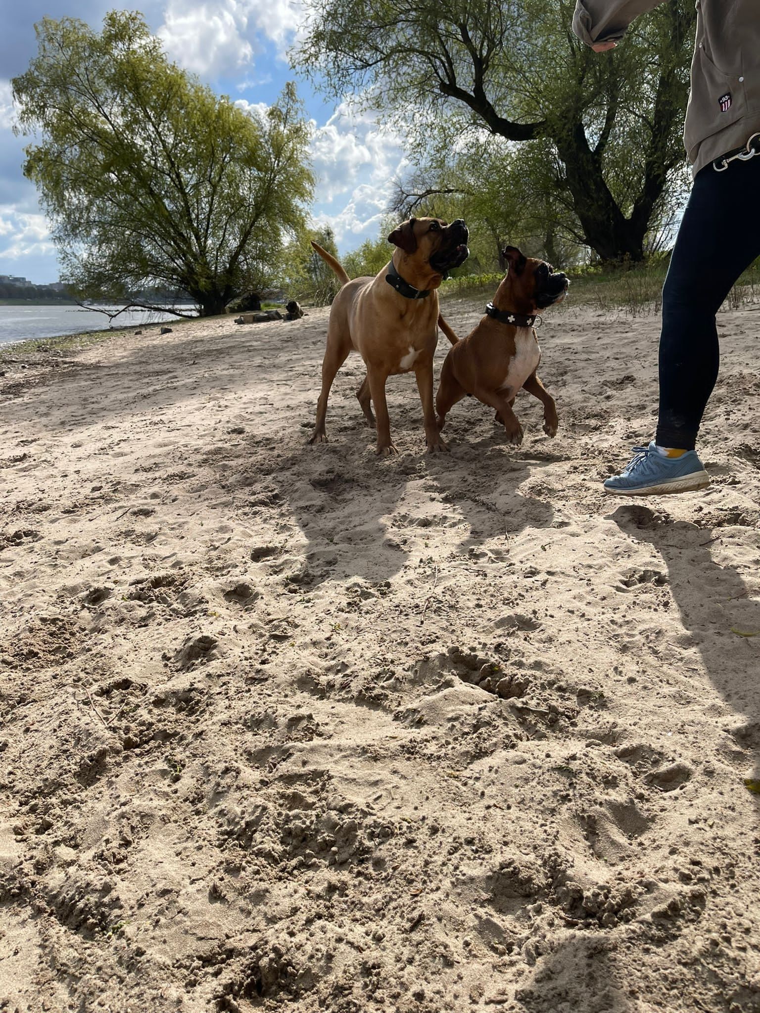 image-12