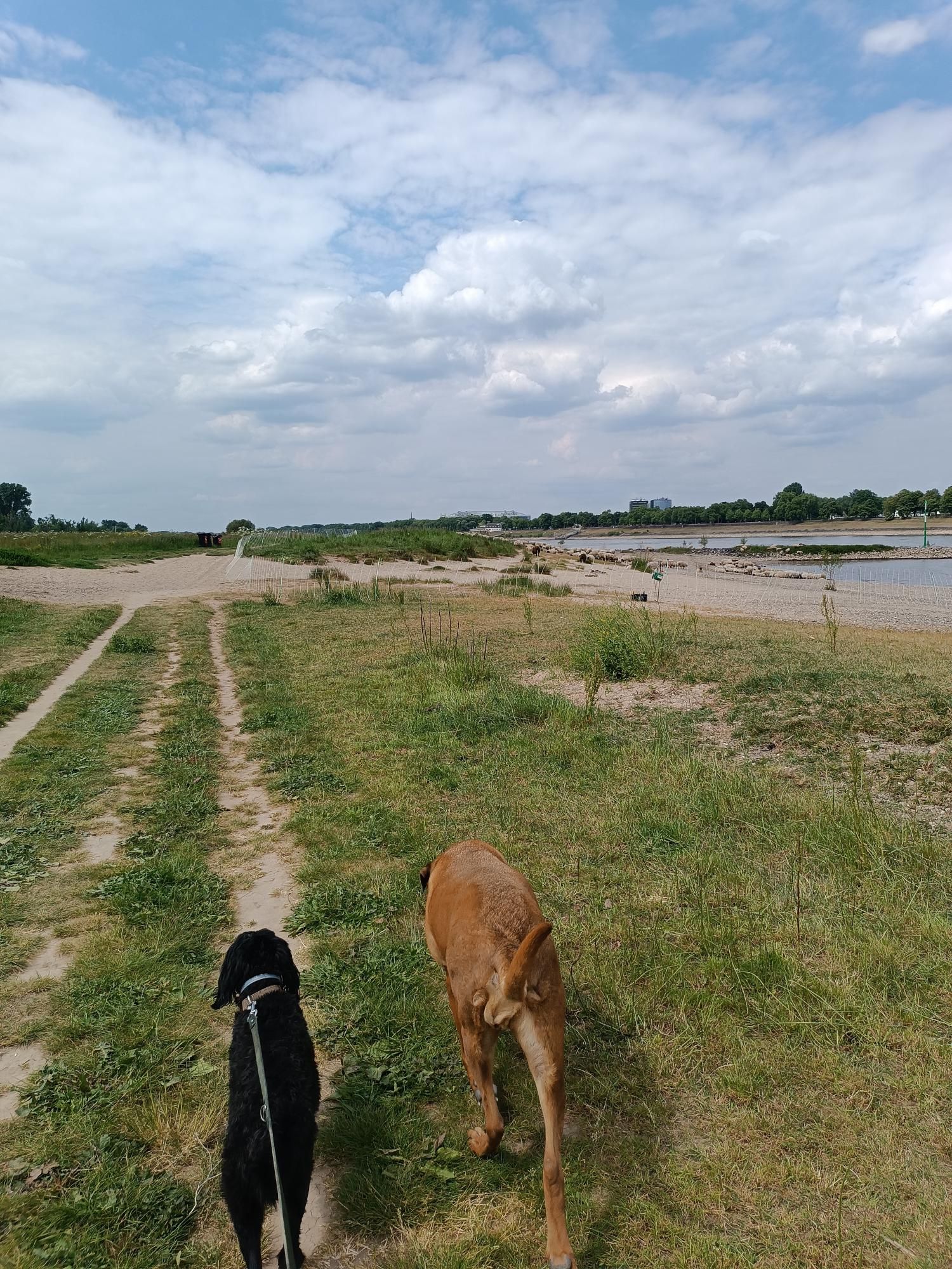 image-14