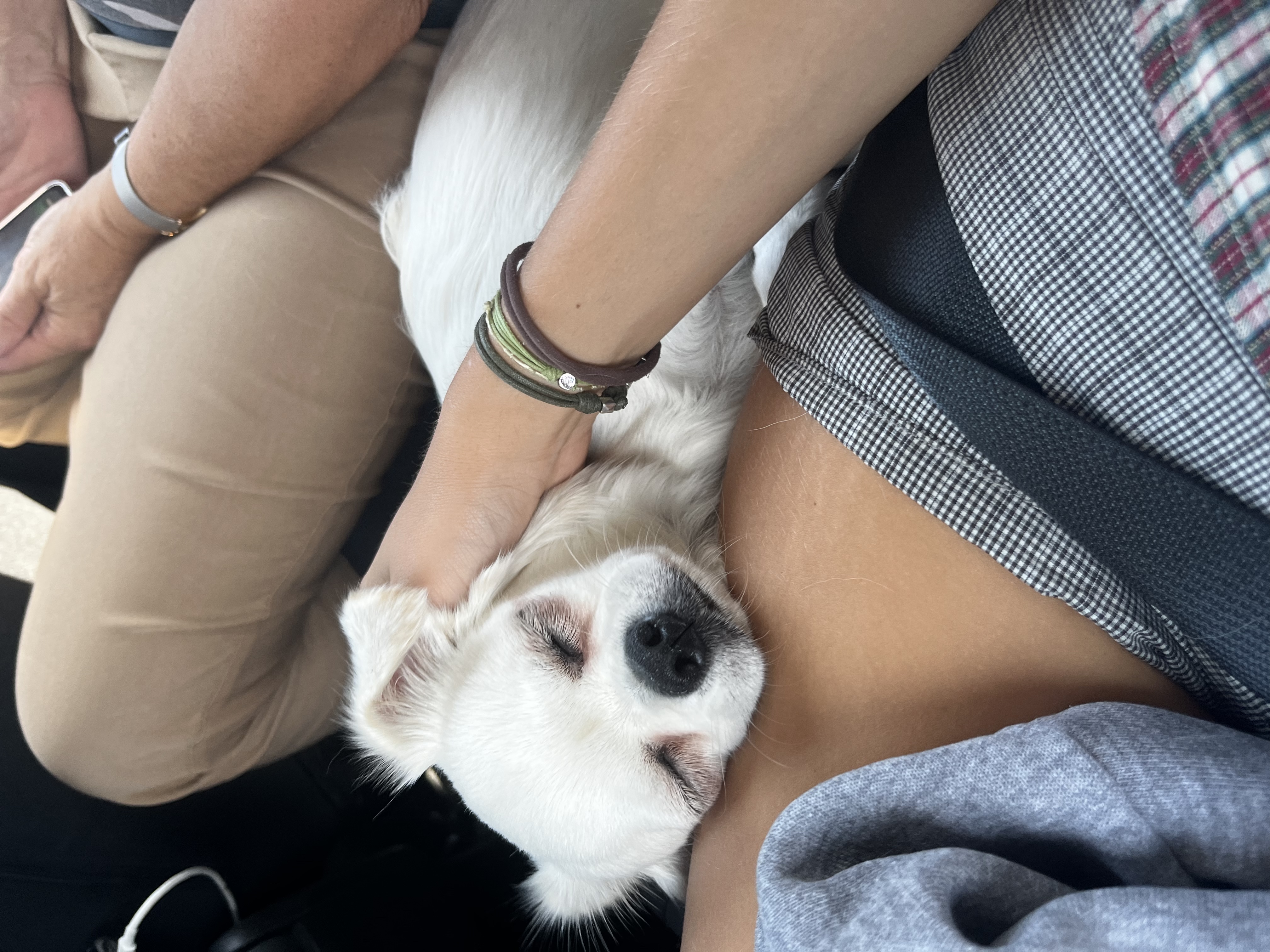 image-8