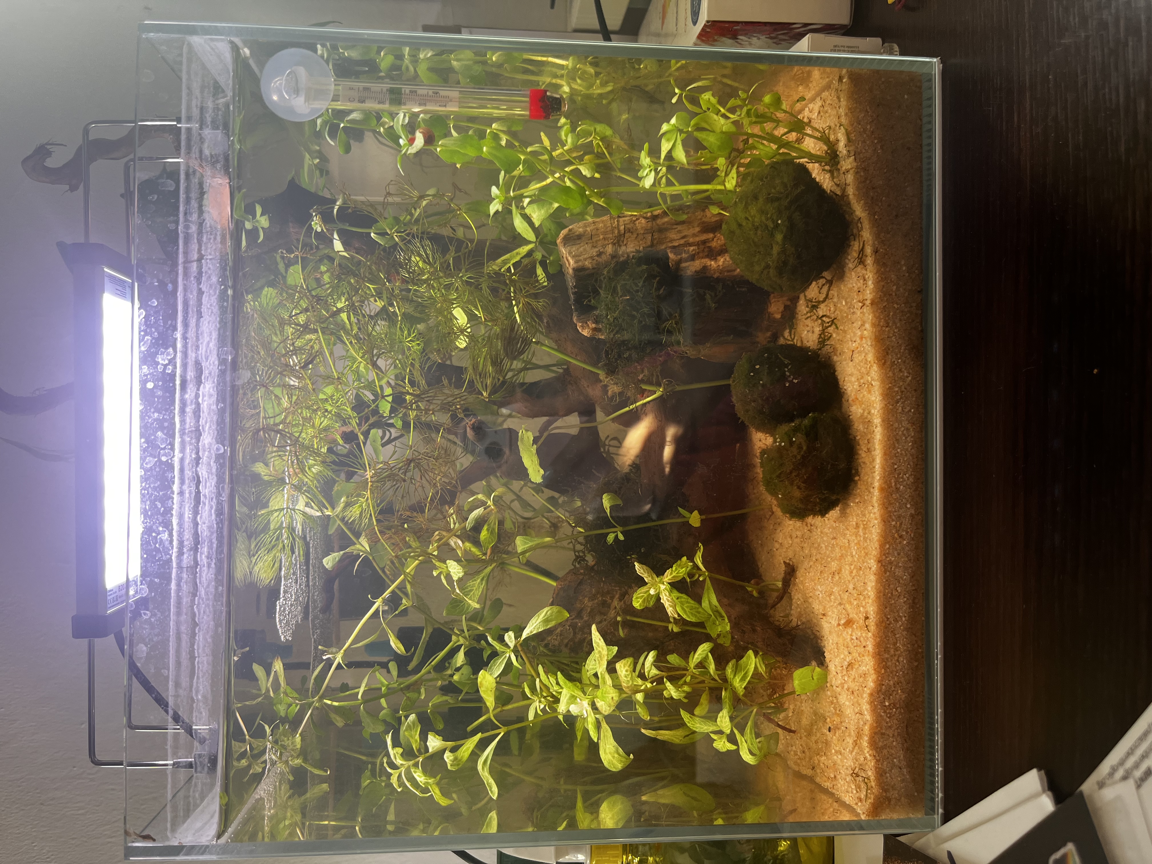 image-16