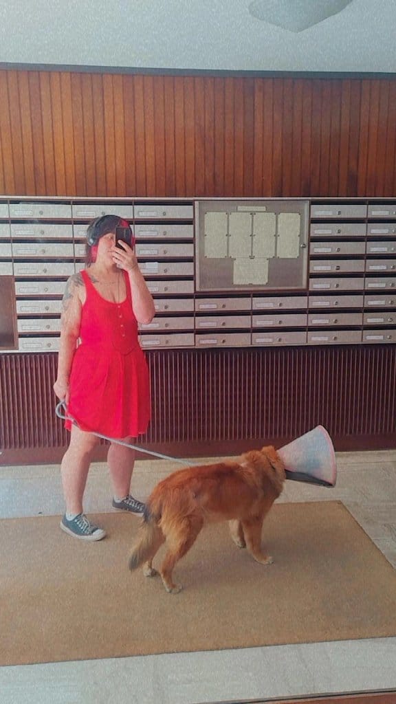 image-2