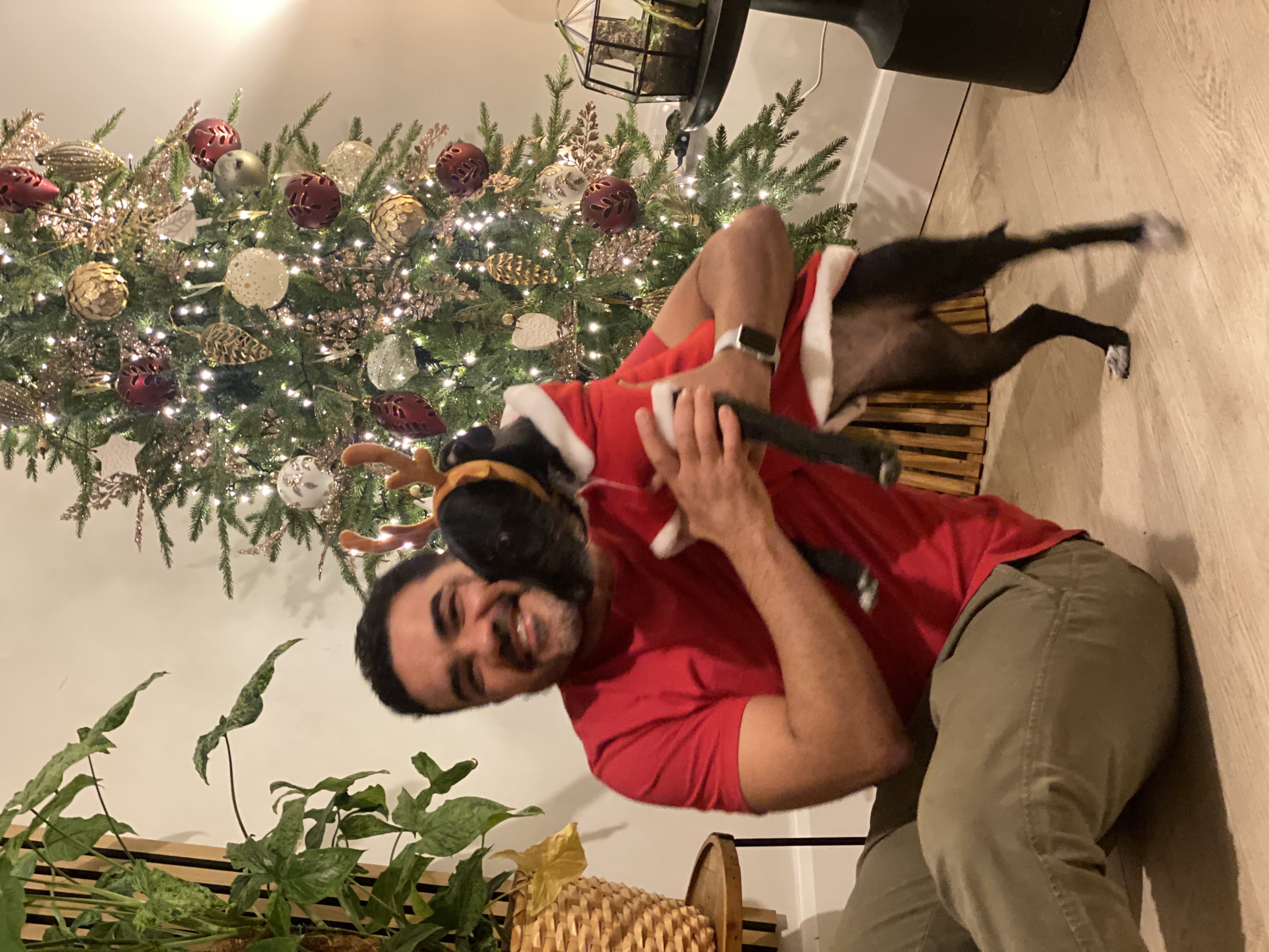 image-8