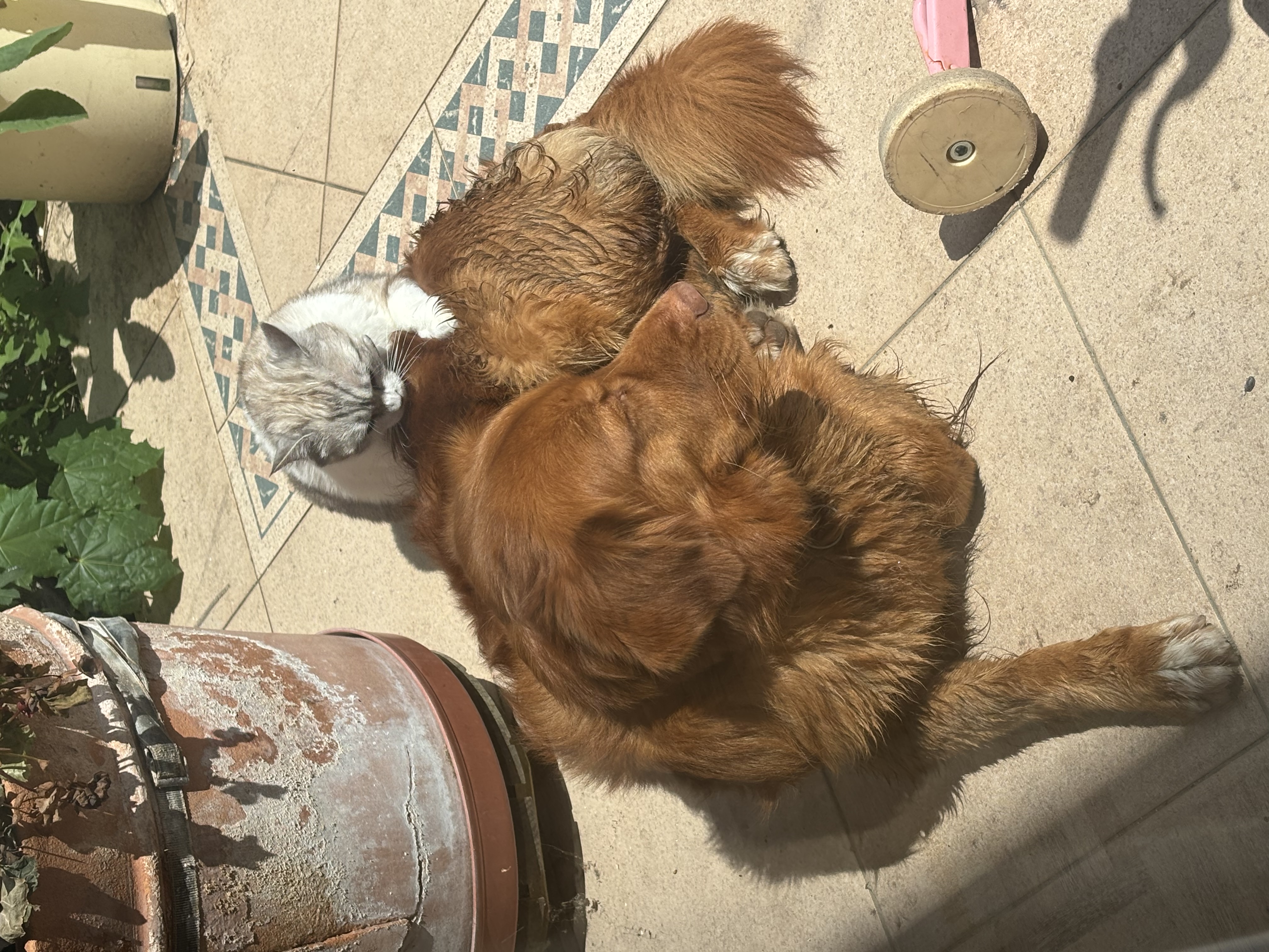 image-8