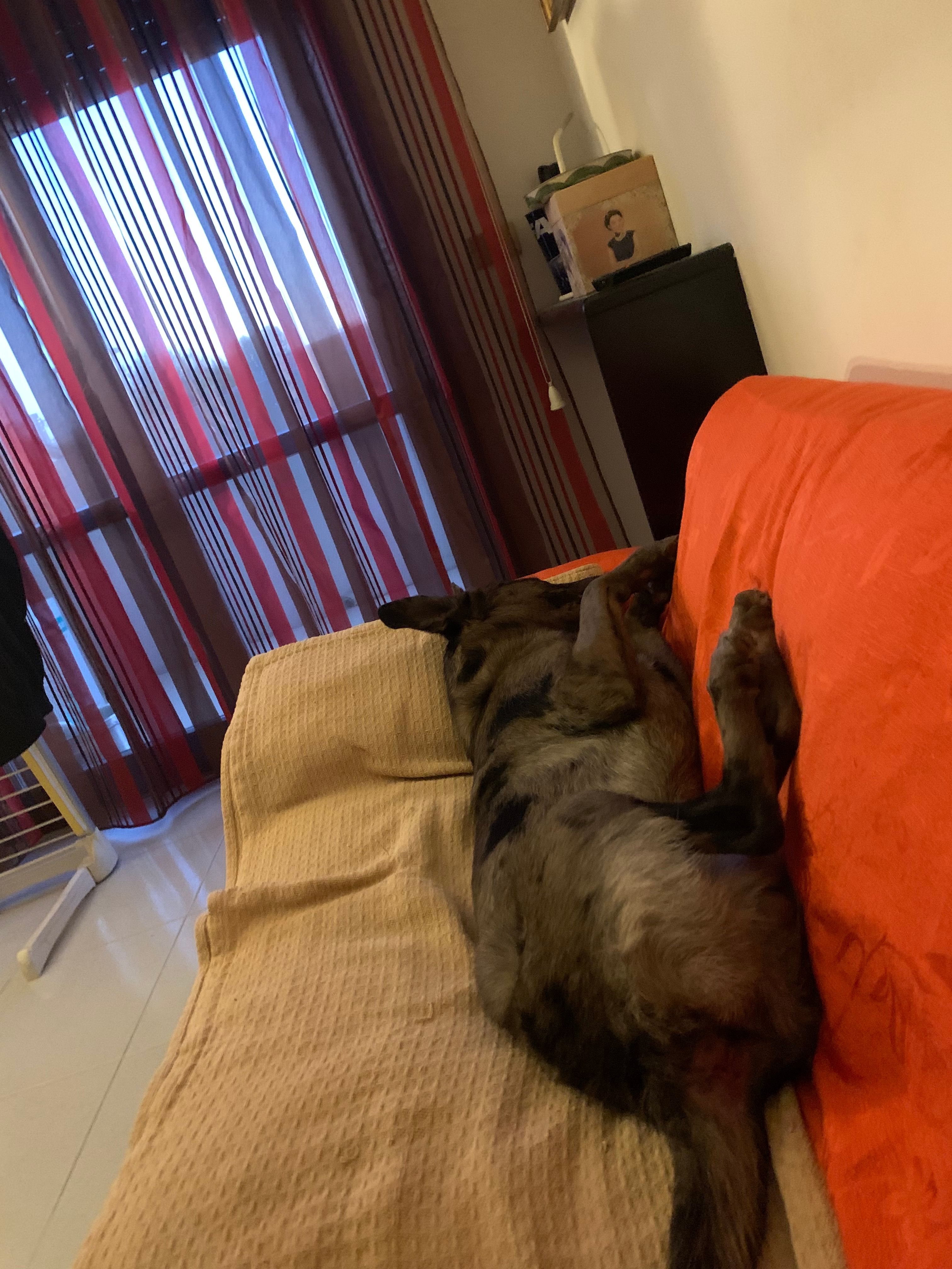 image-12