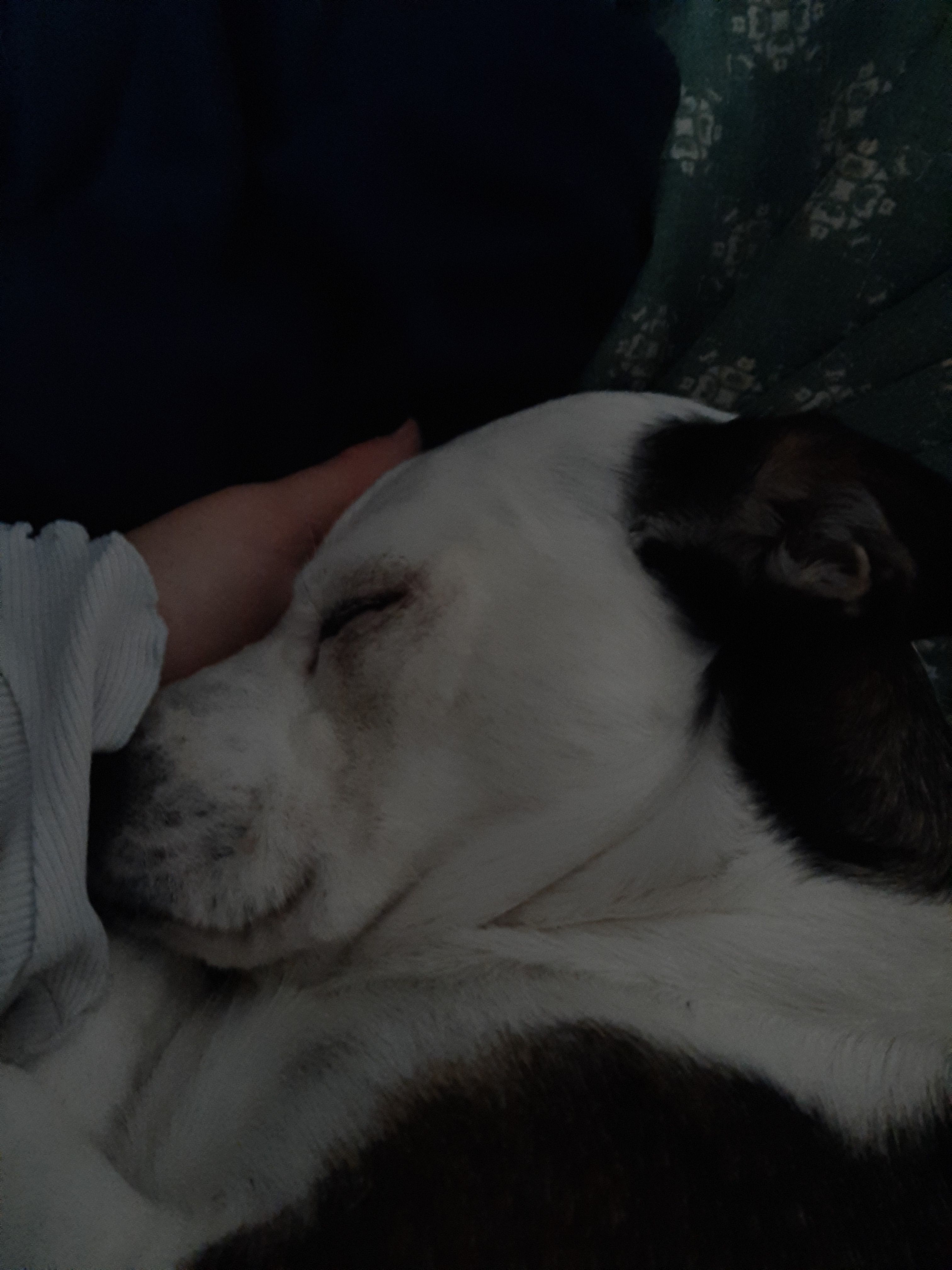 image-7