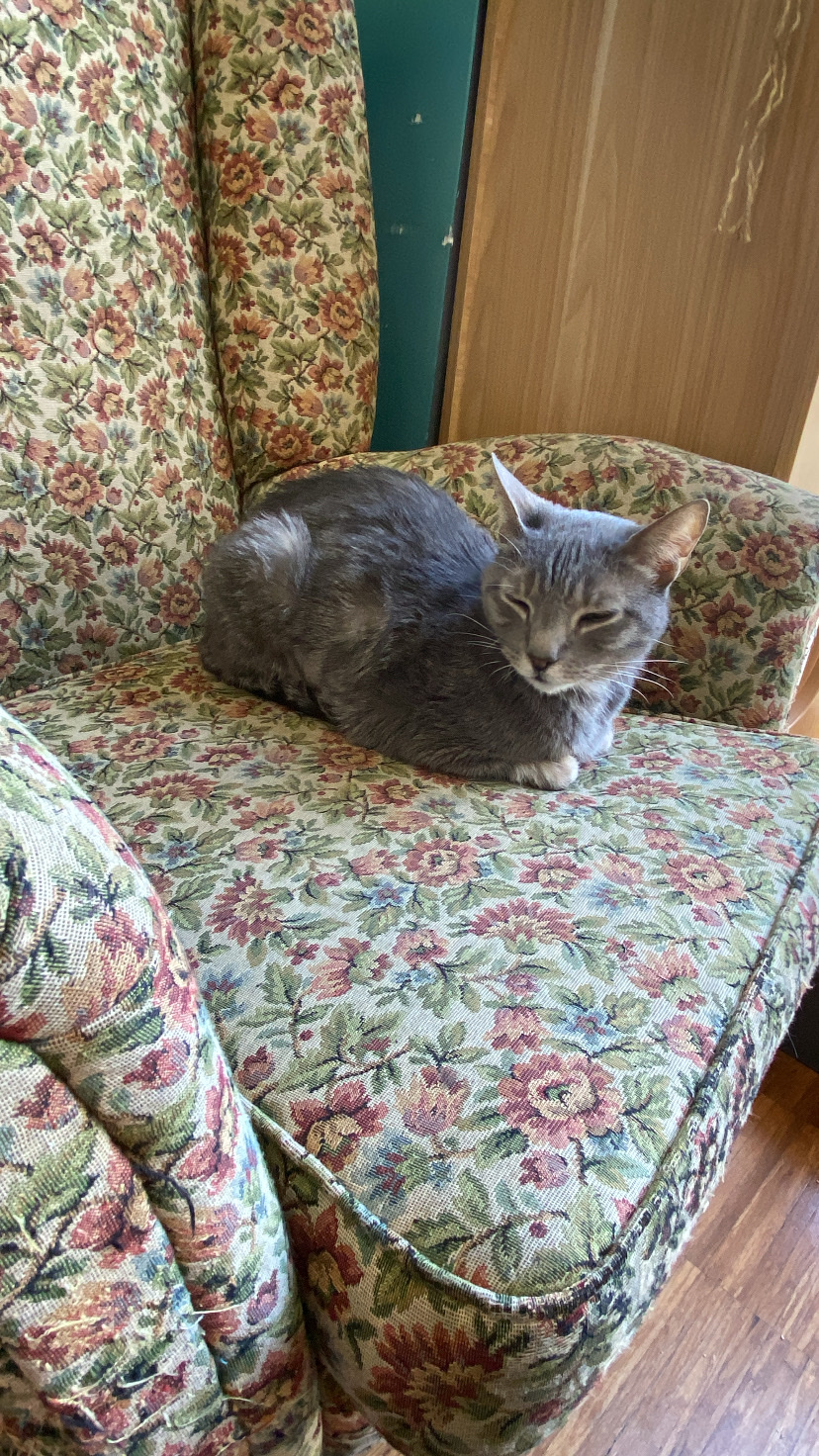 image-7