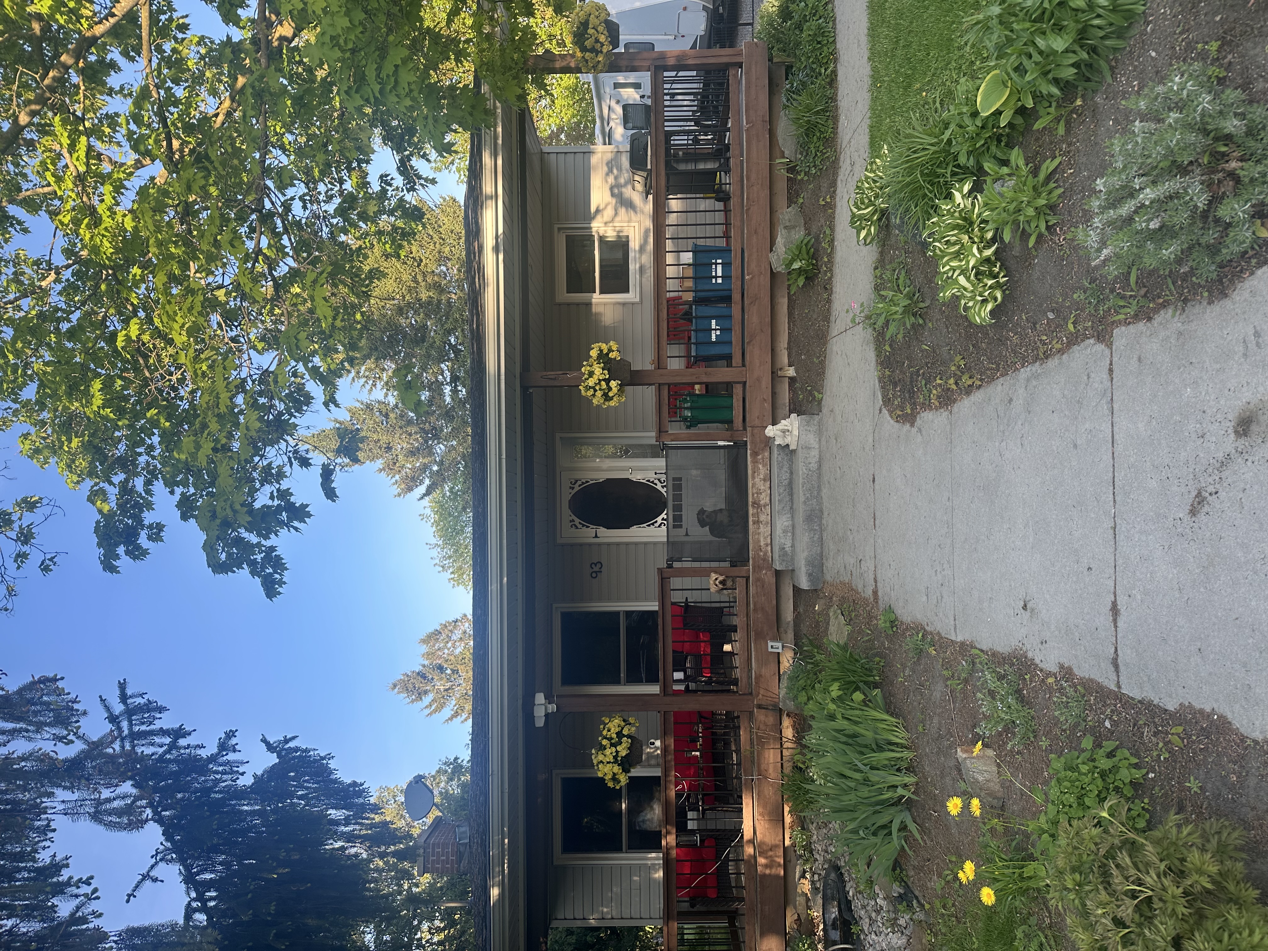 image-18