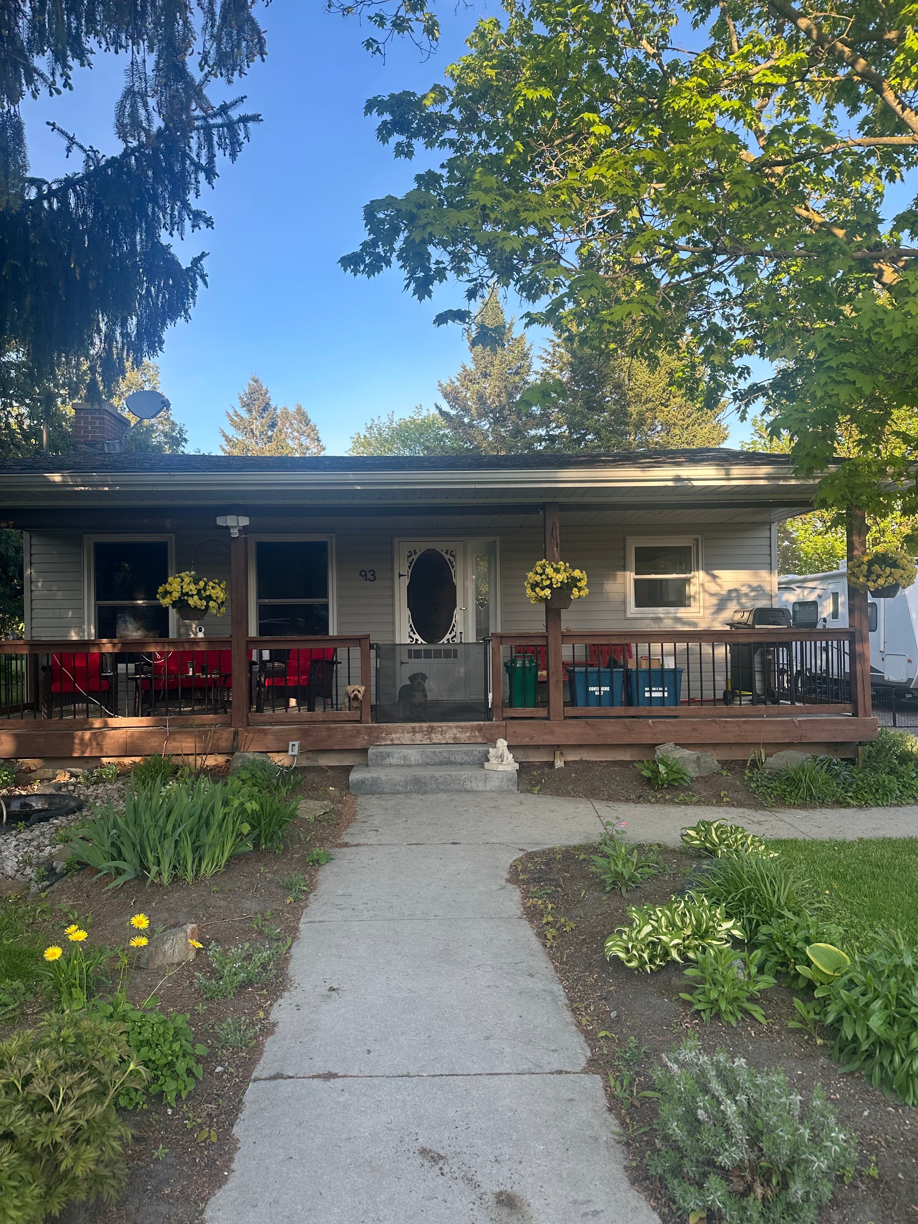 image-18