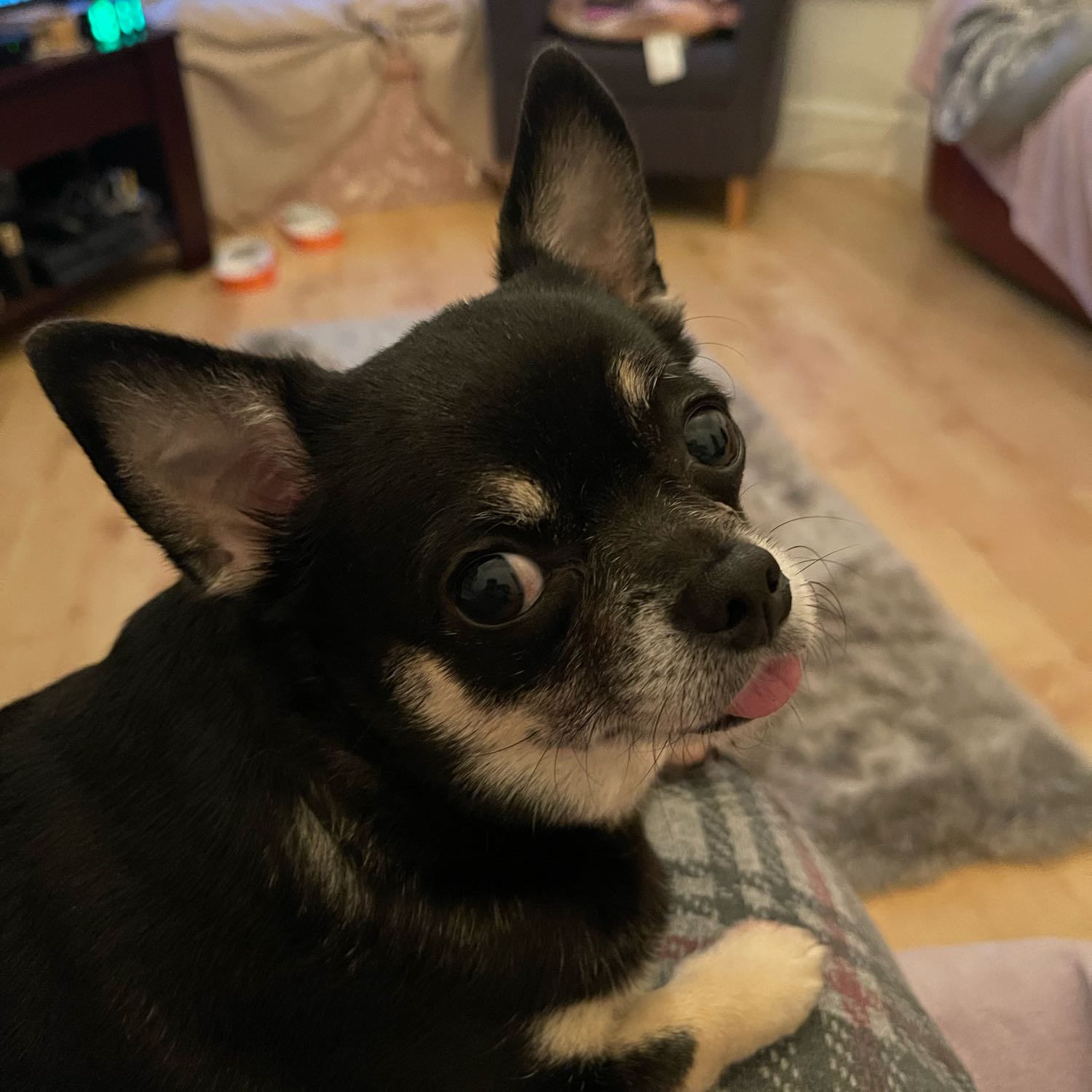 Rosie