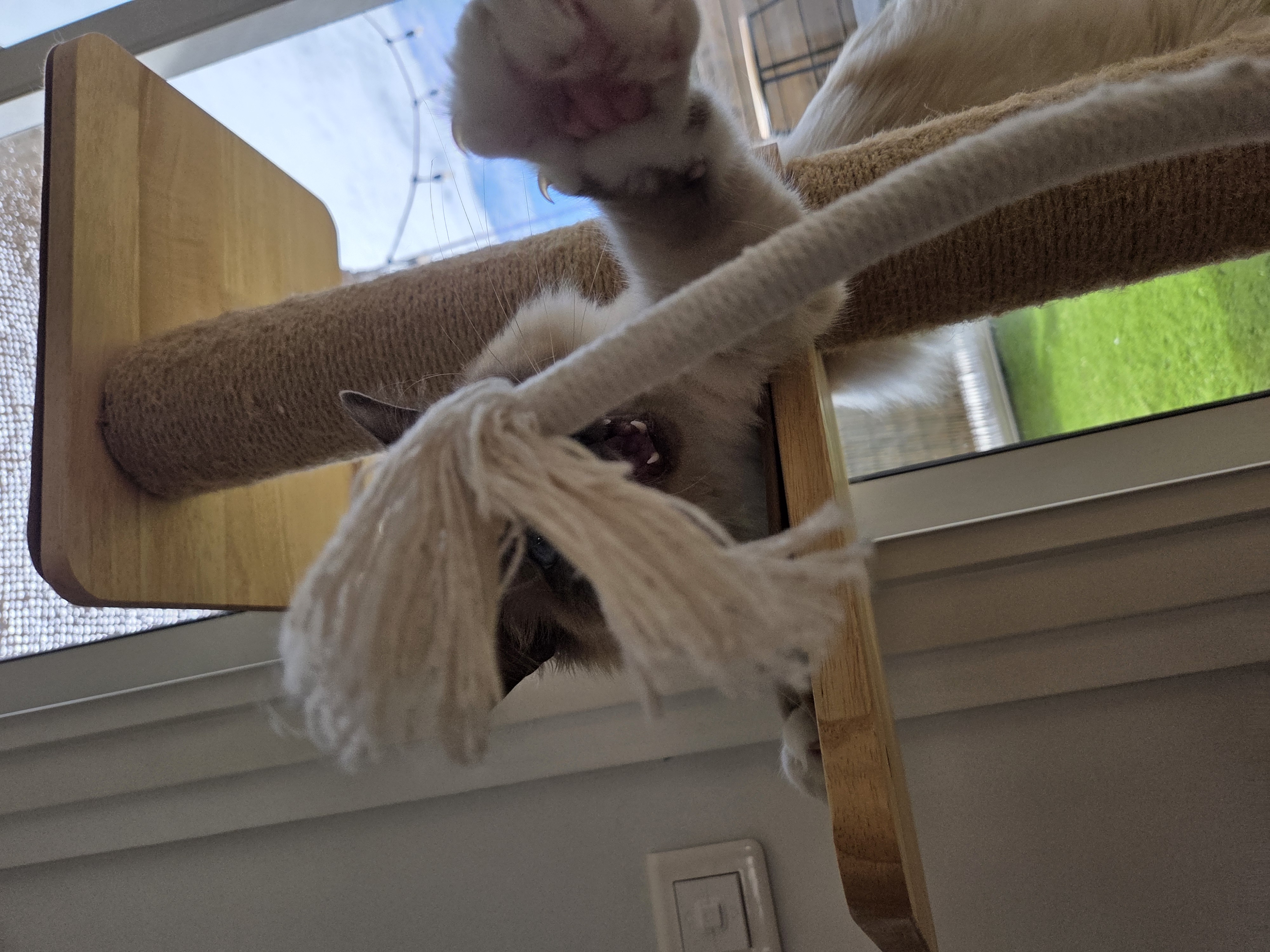 image-8