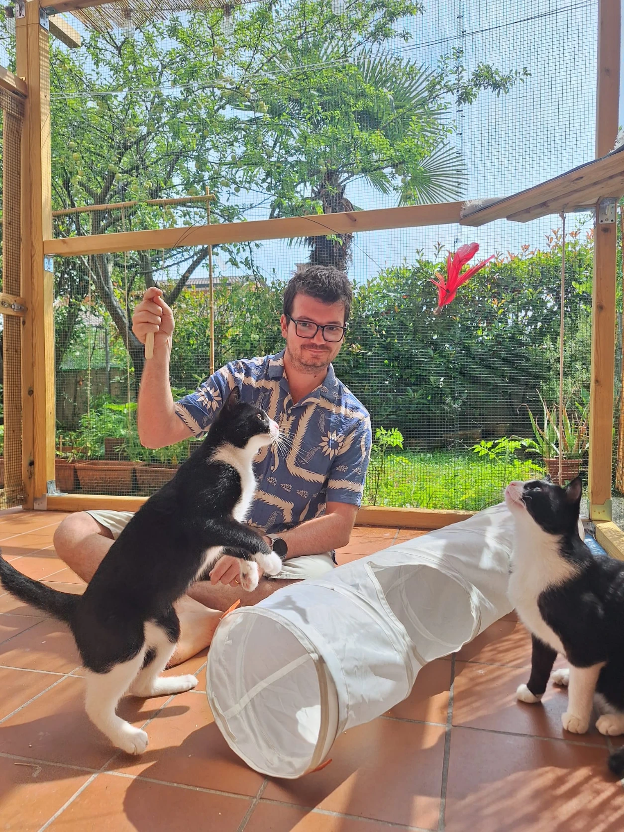 image-1