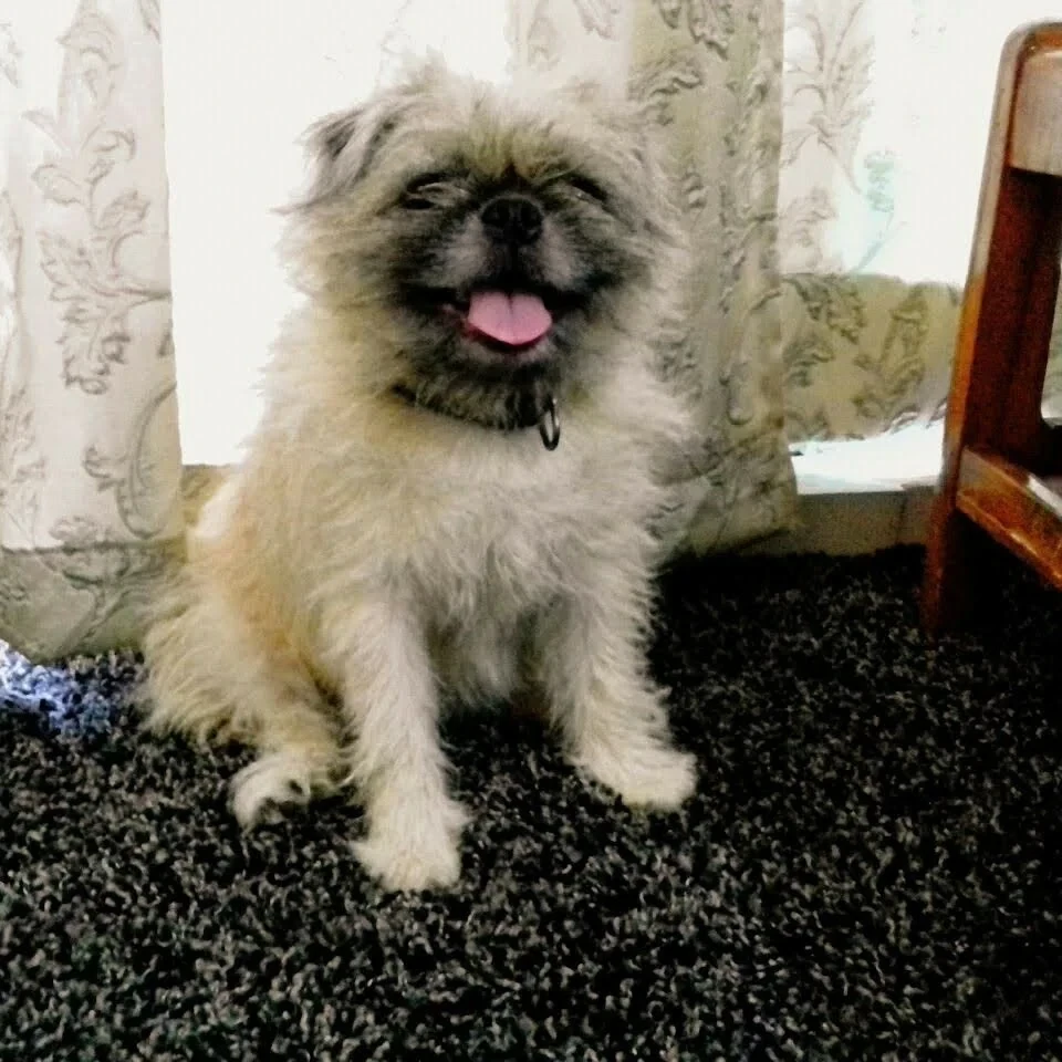 image-6