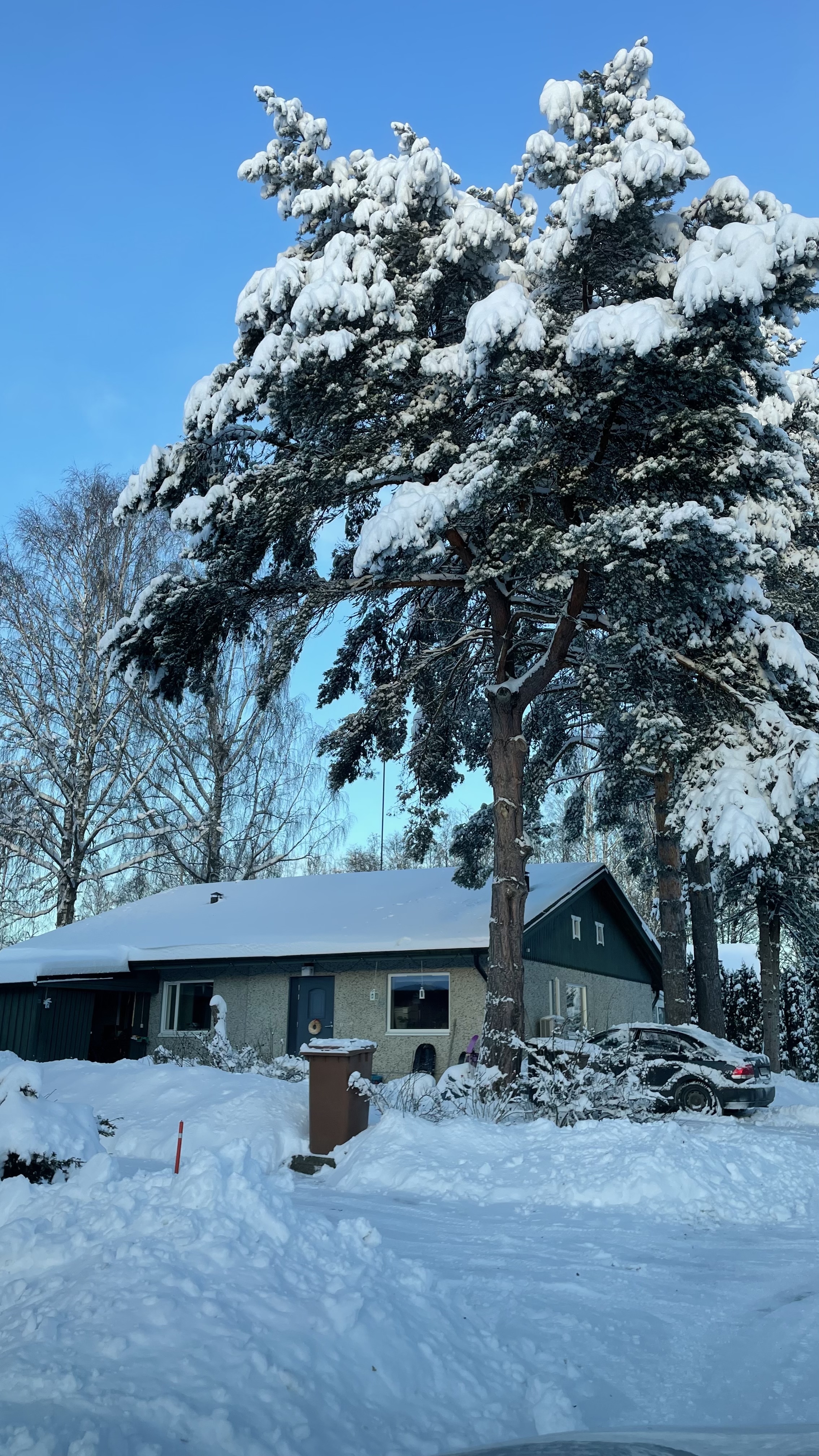 image-15