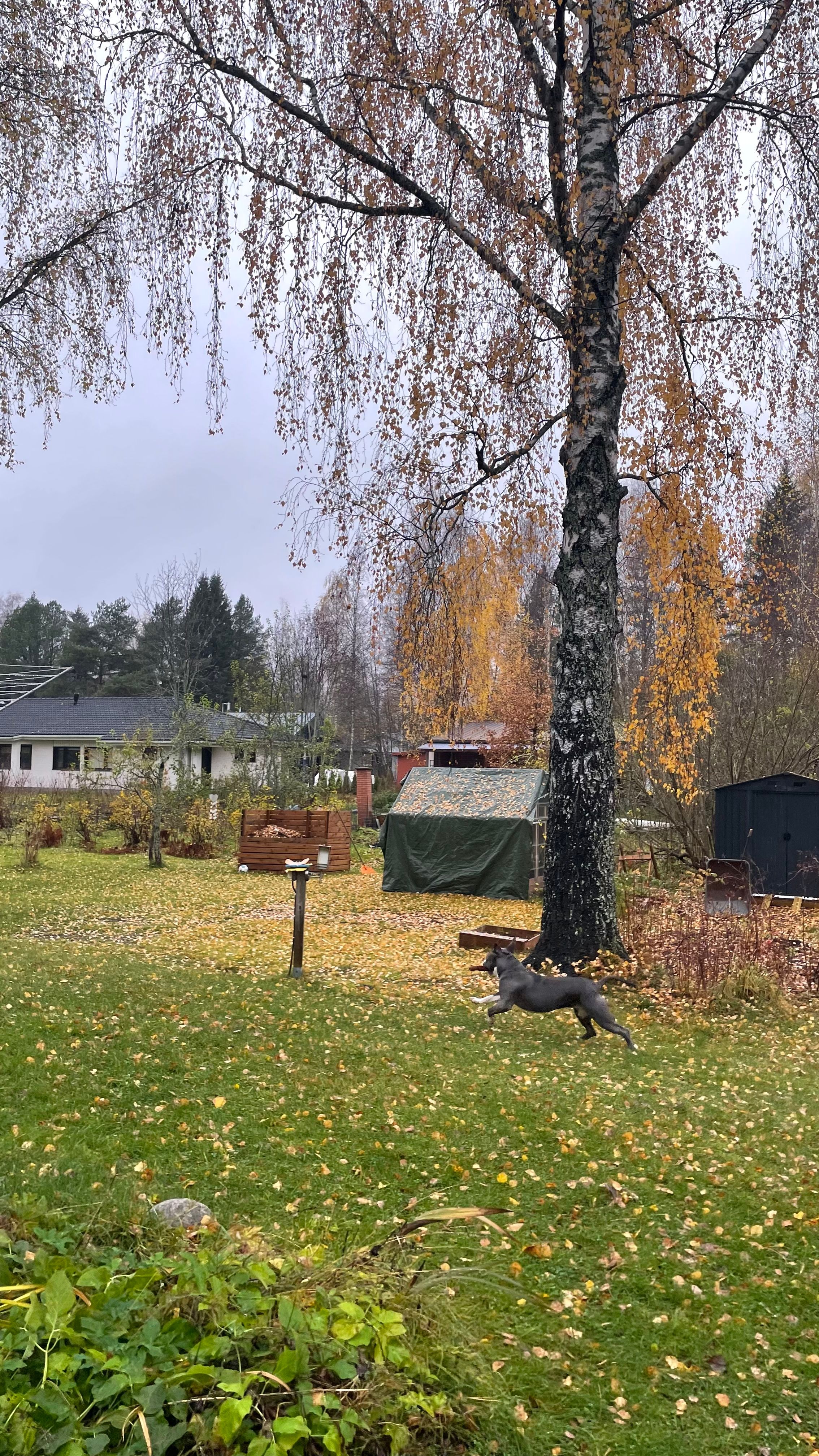 image-14