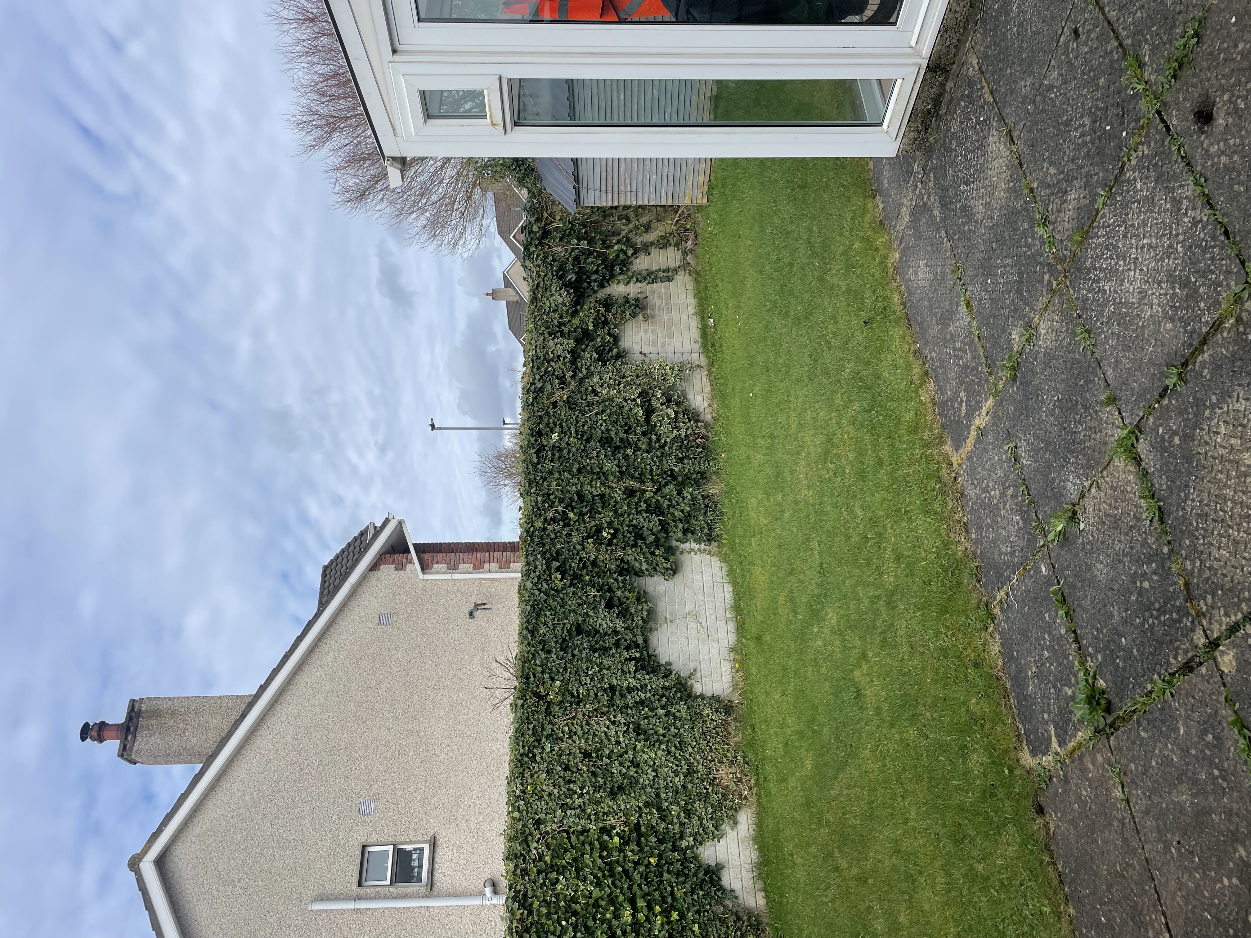 image-20