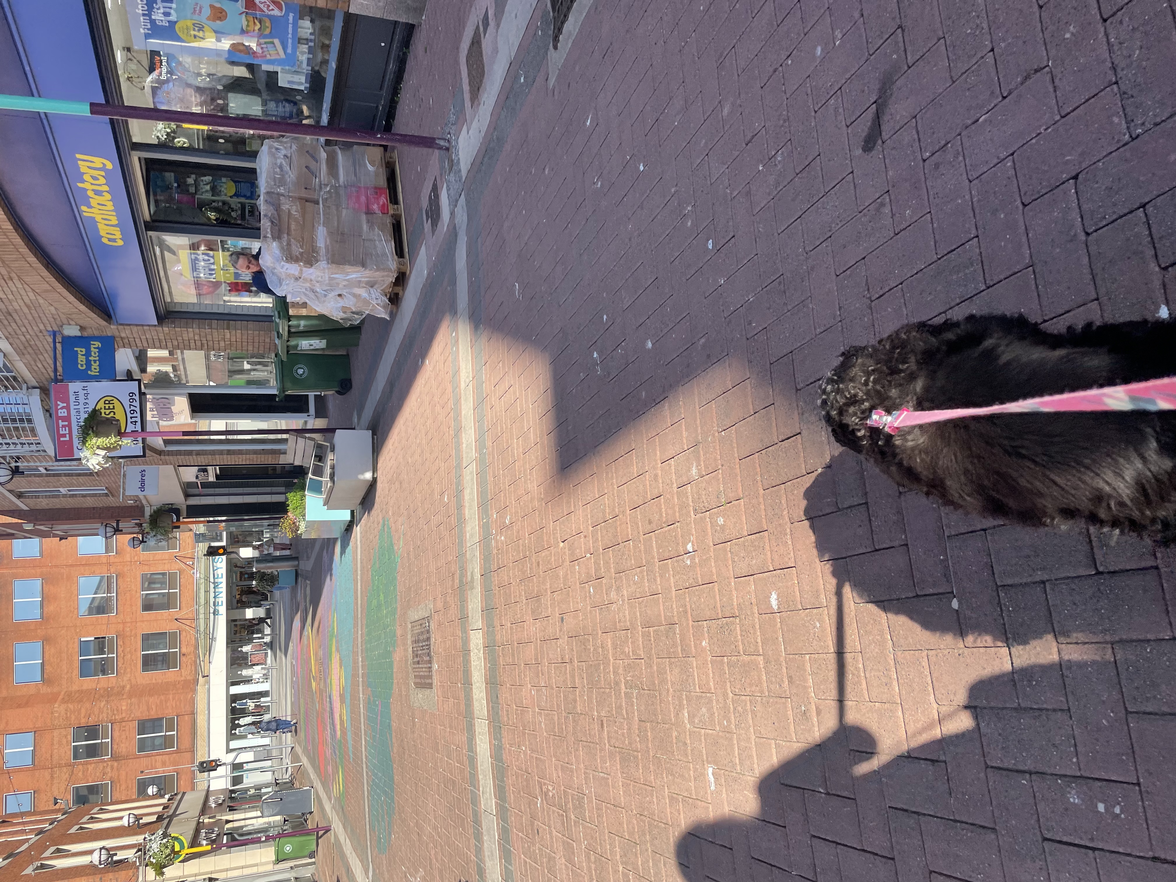image-16