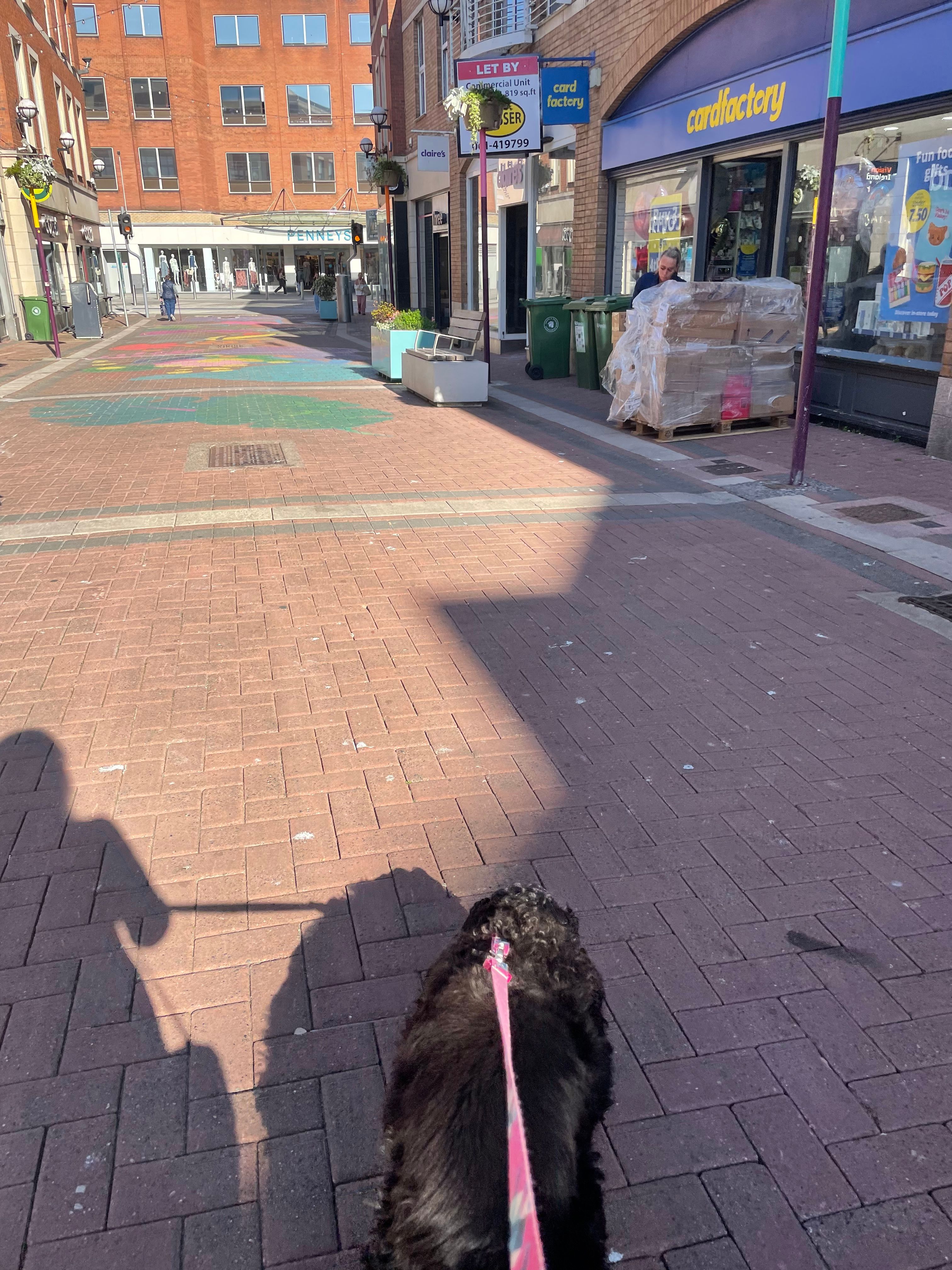 image-16