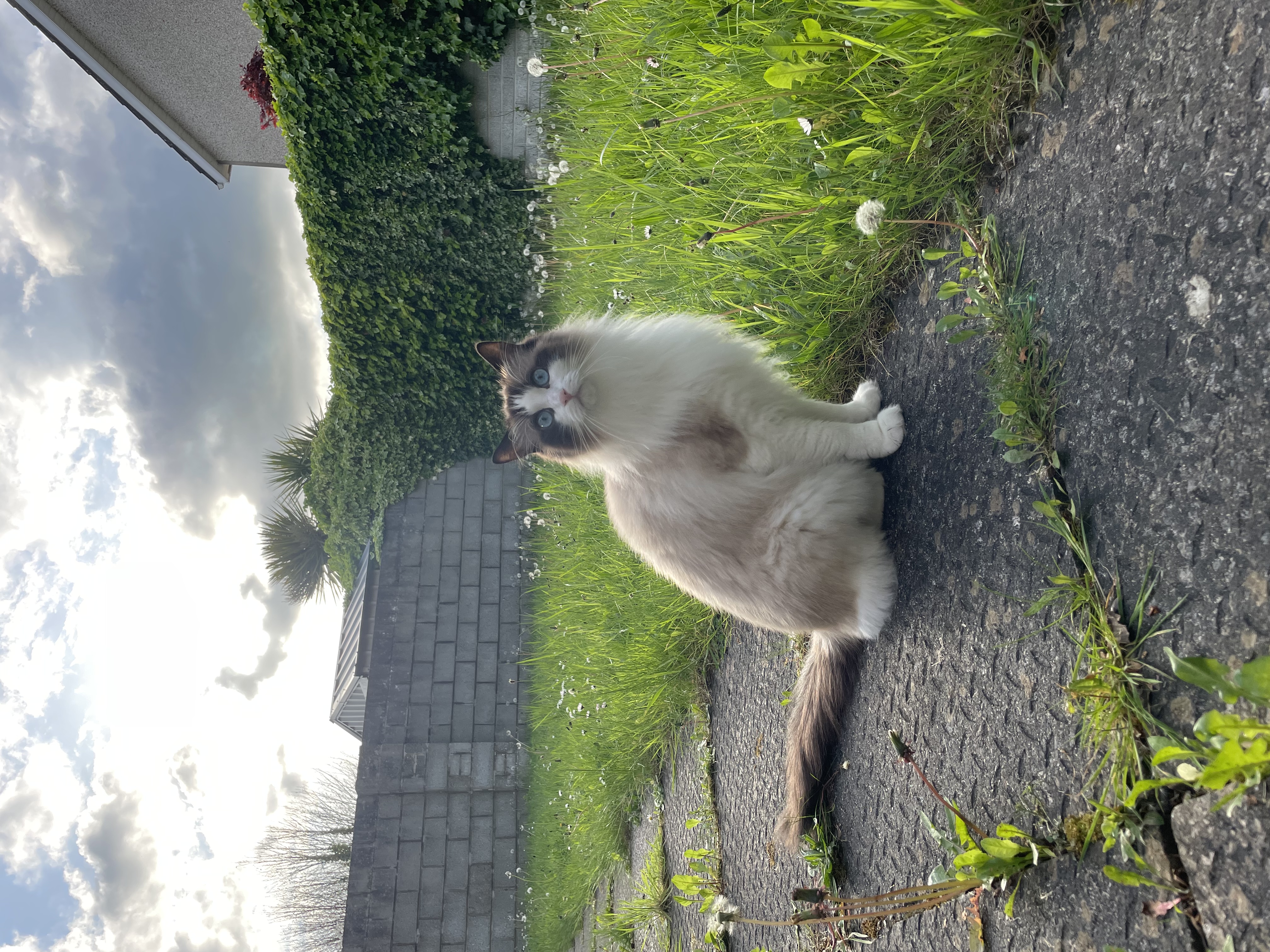 image-14