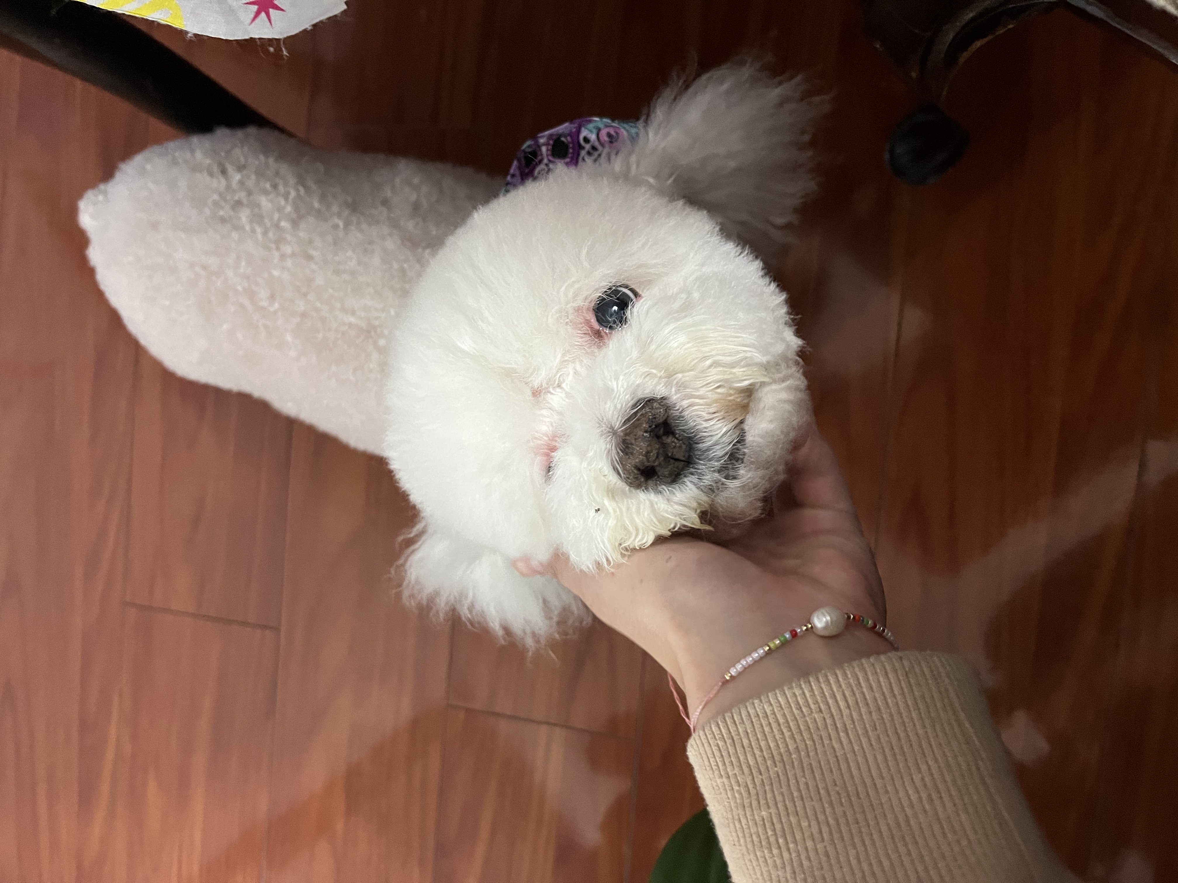 image-7