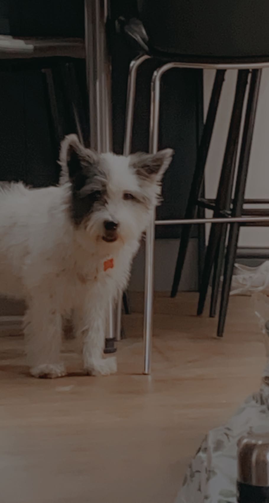 image-8