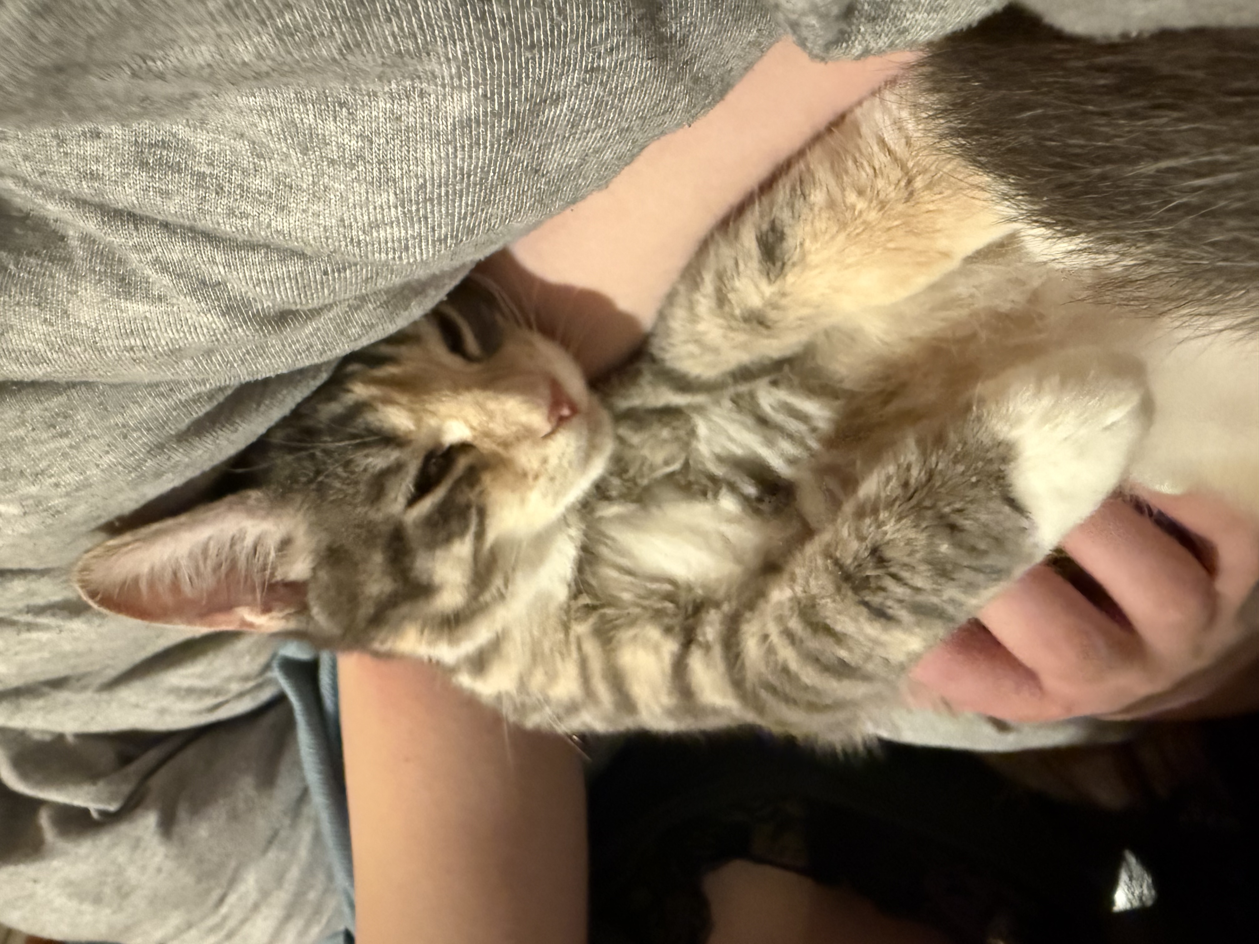 image-6