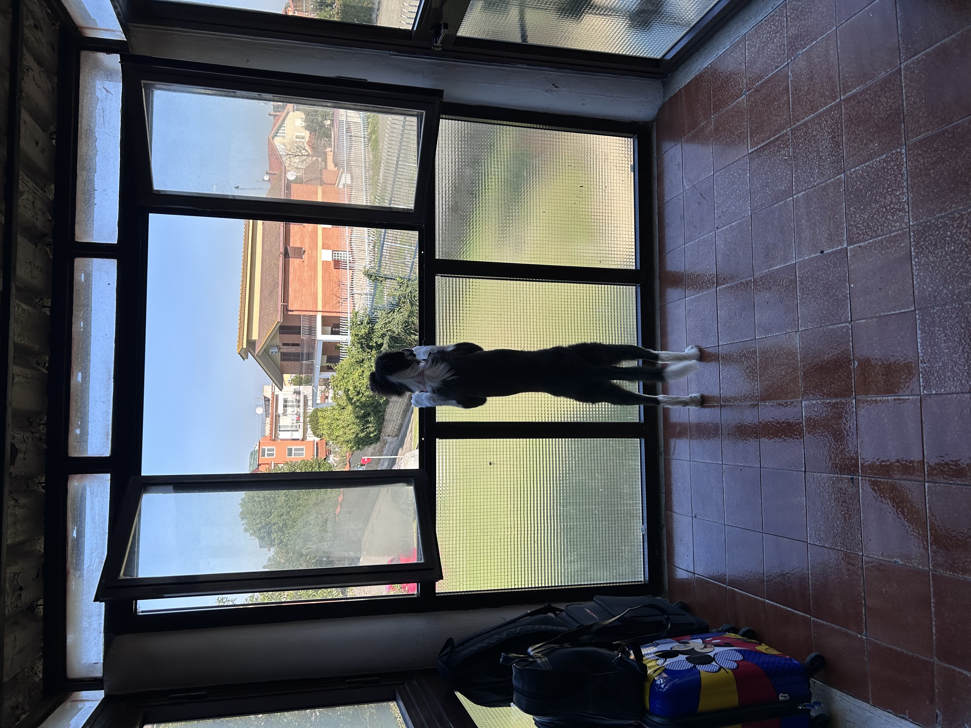 image-19