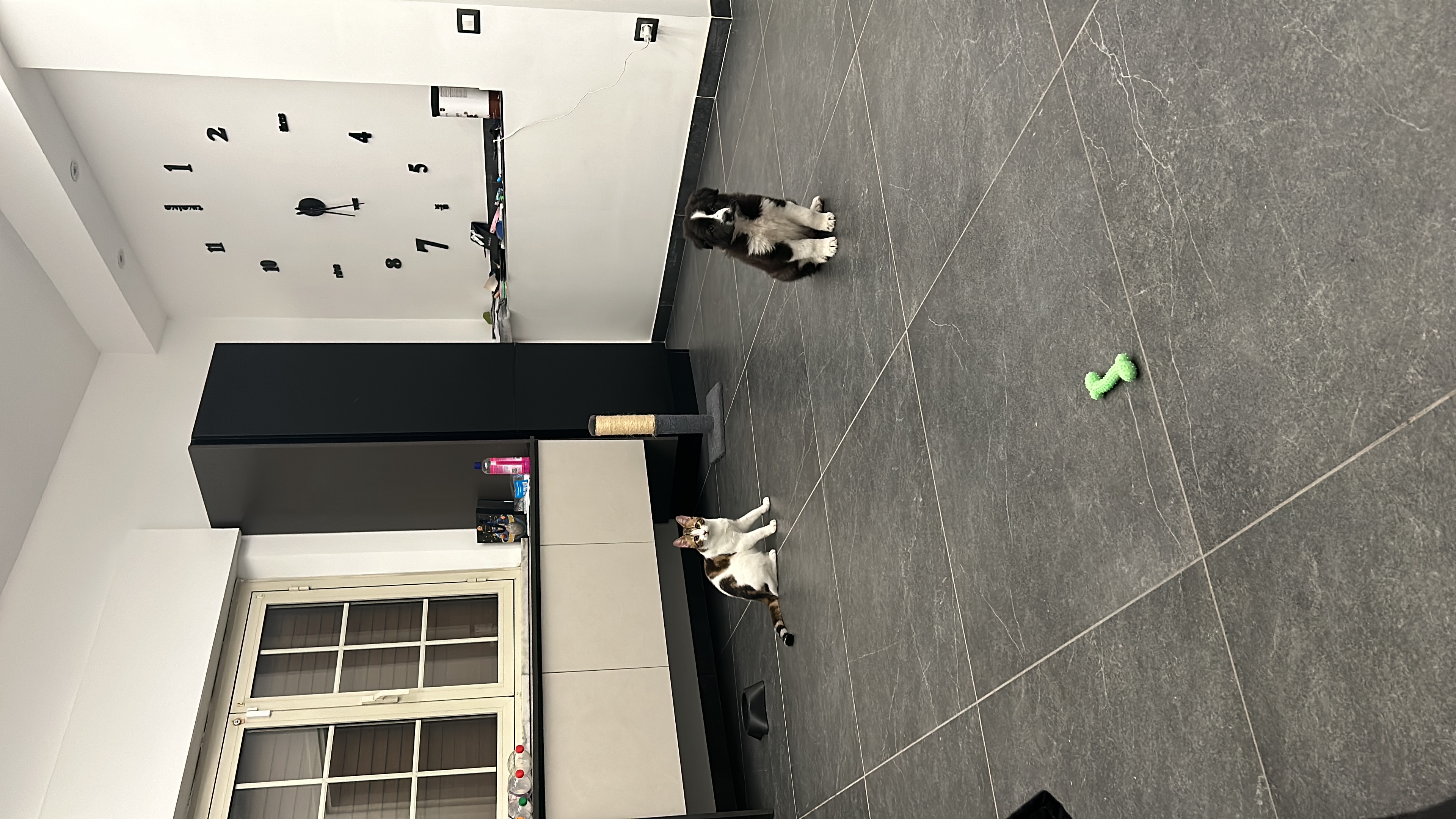 image-18