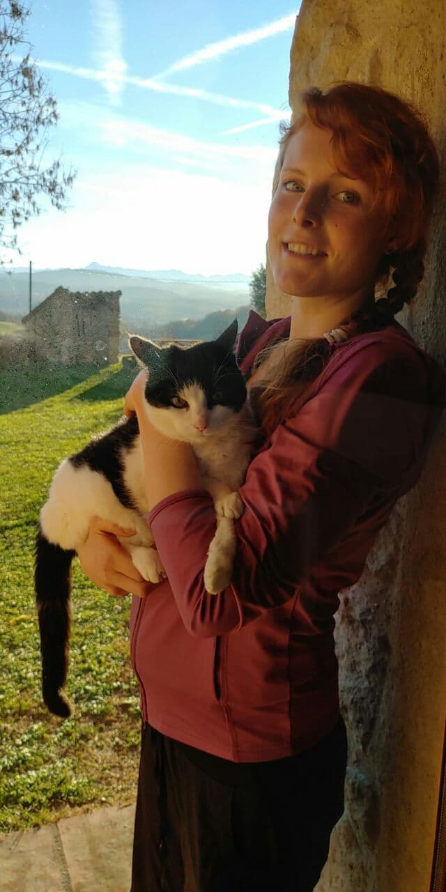 image-4