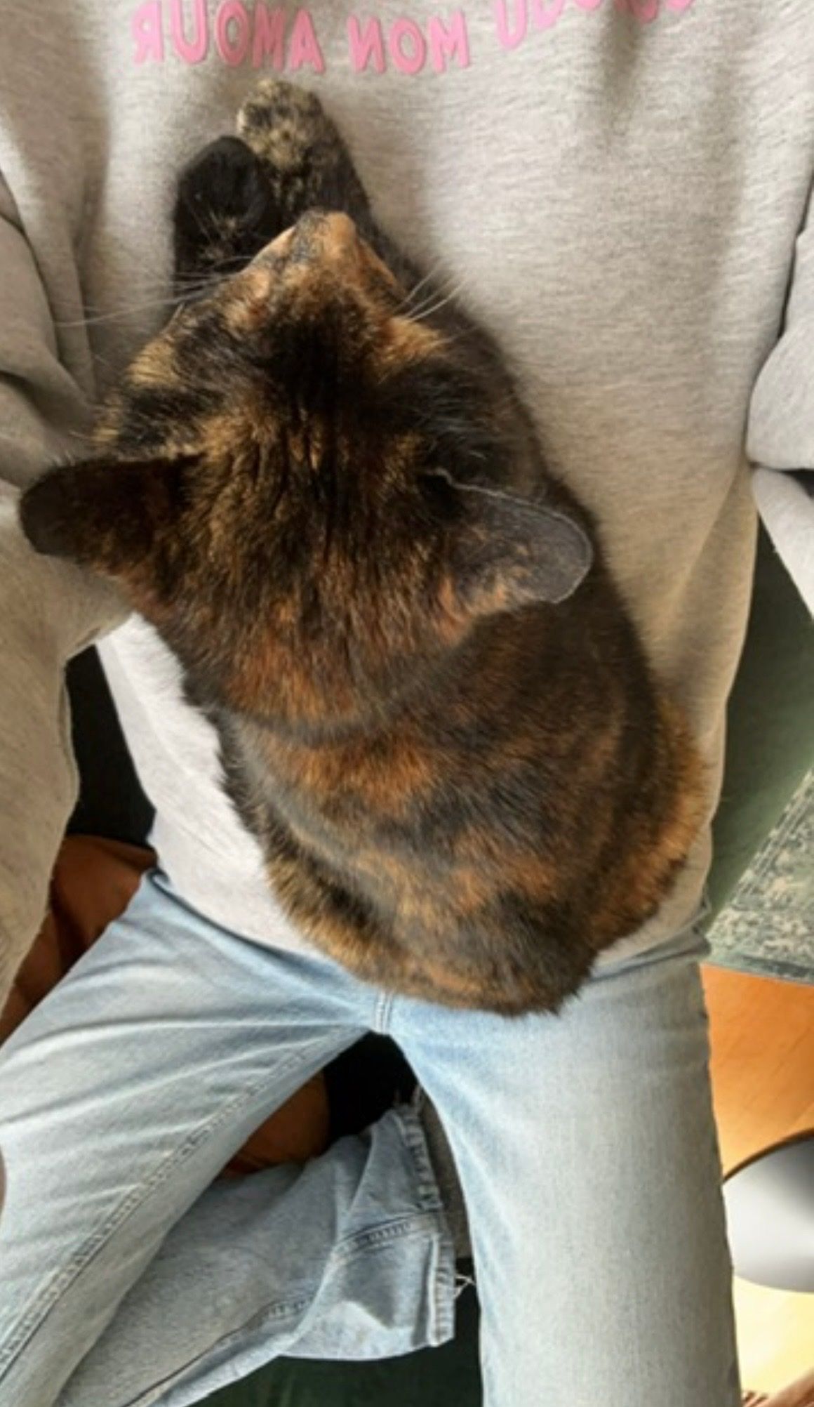 image-10
