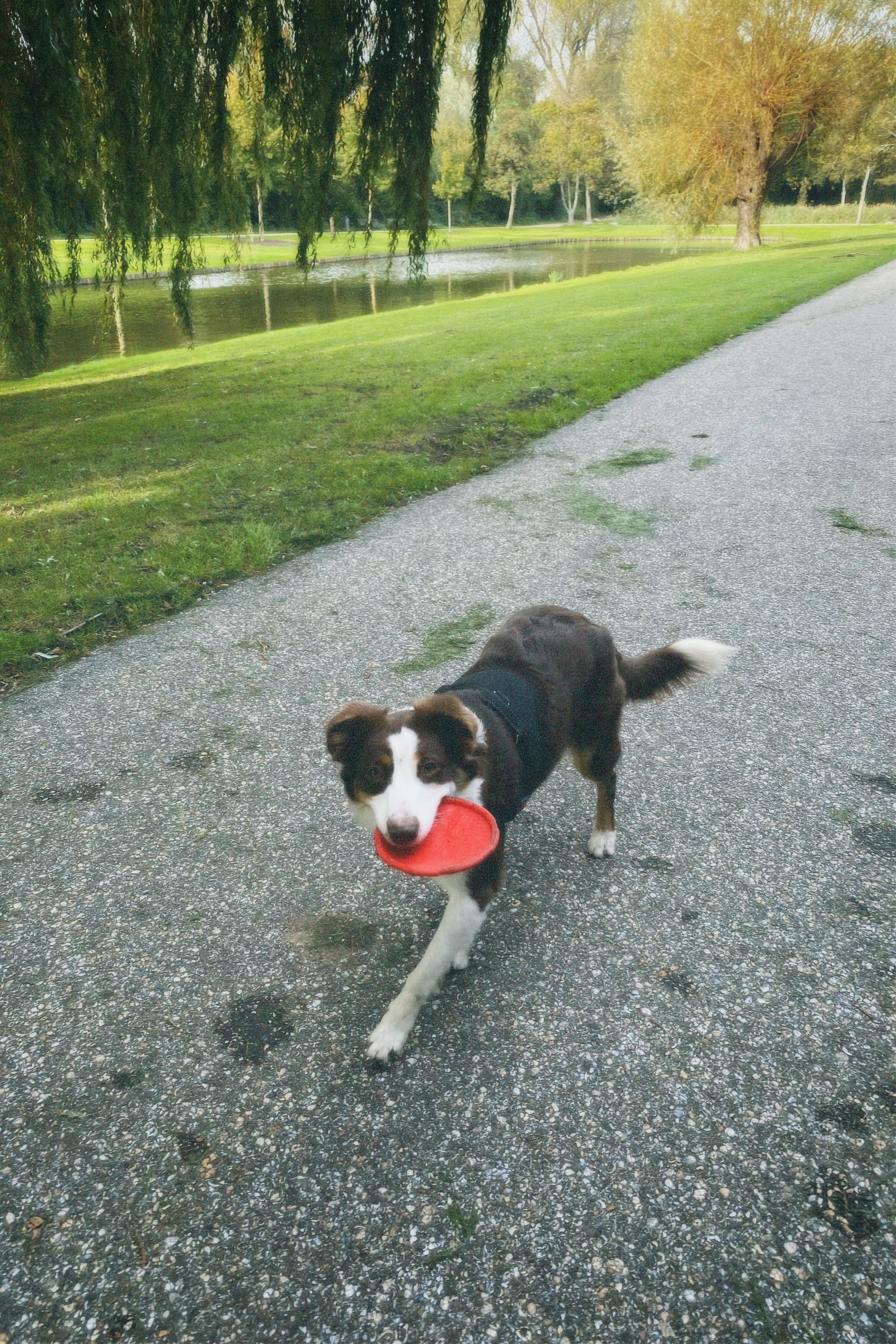 image-6