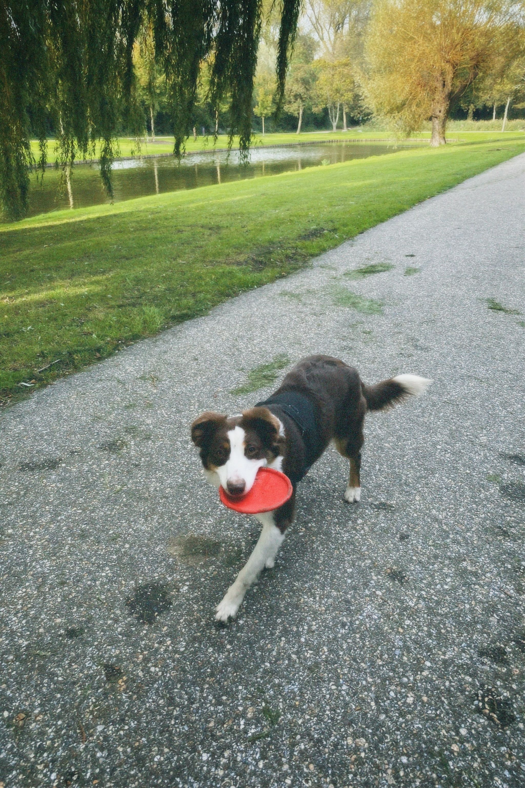 image-6