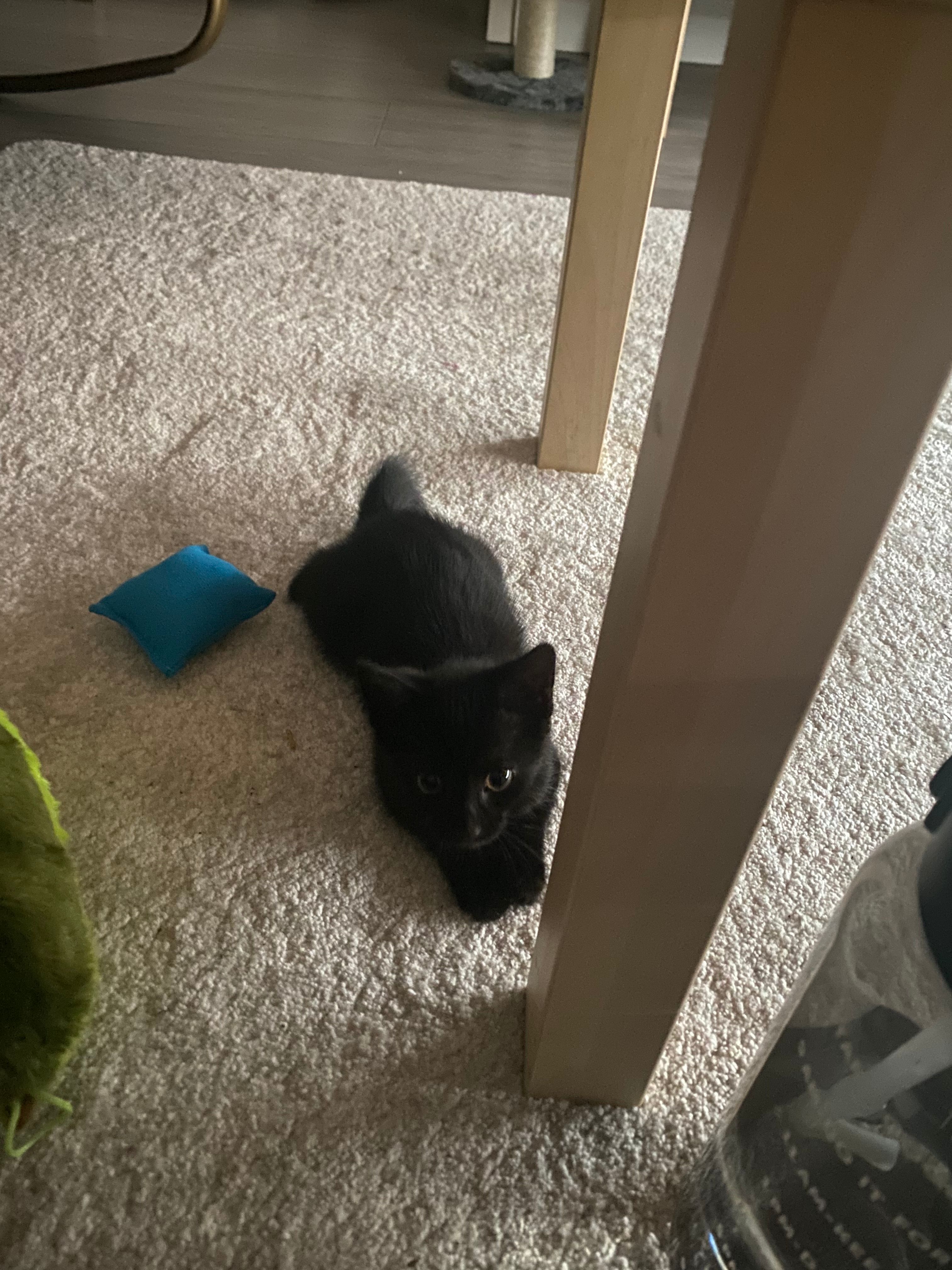 image-11