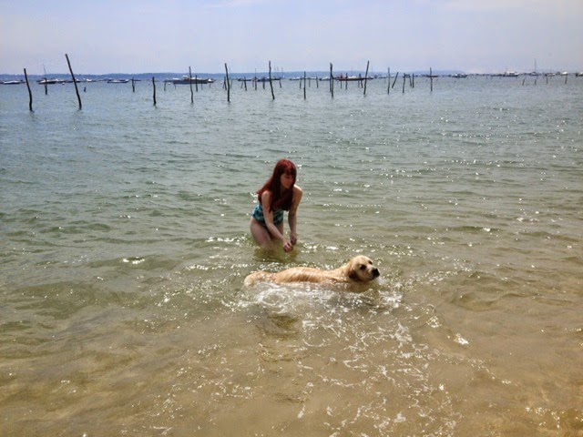 image-7