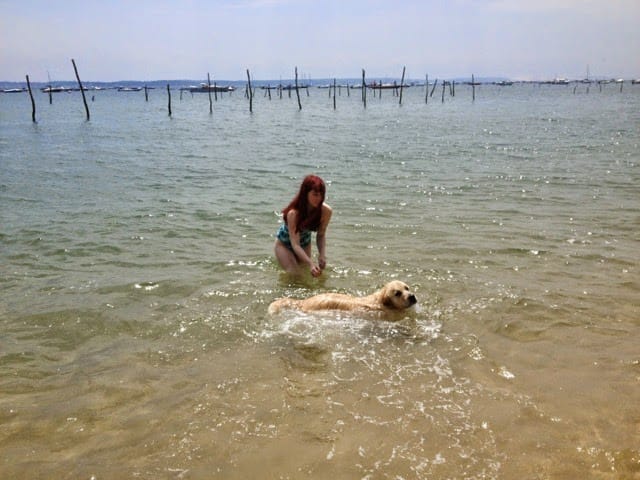 image-7