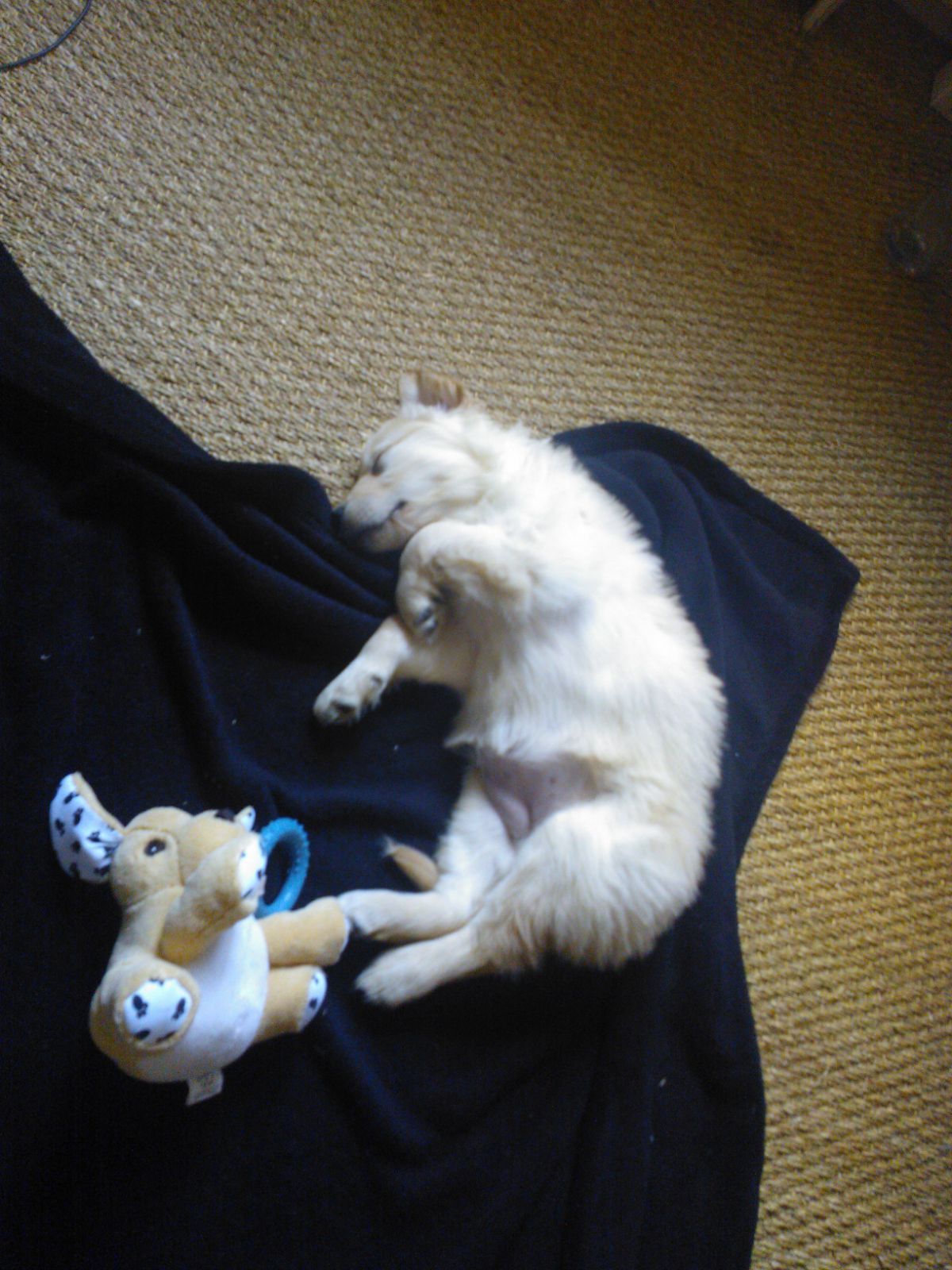 image-5