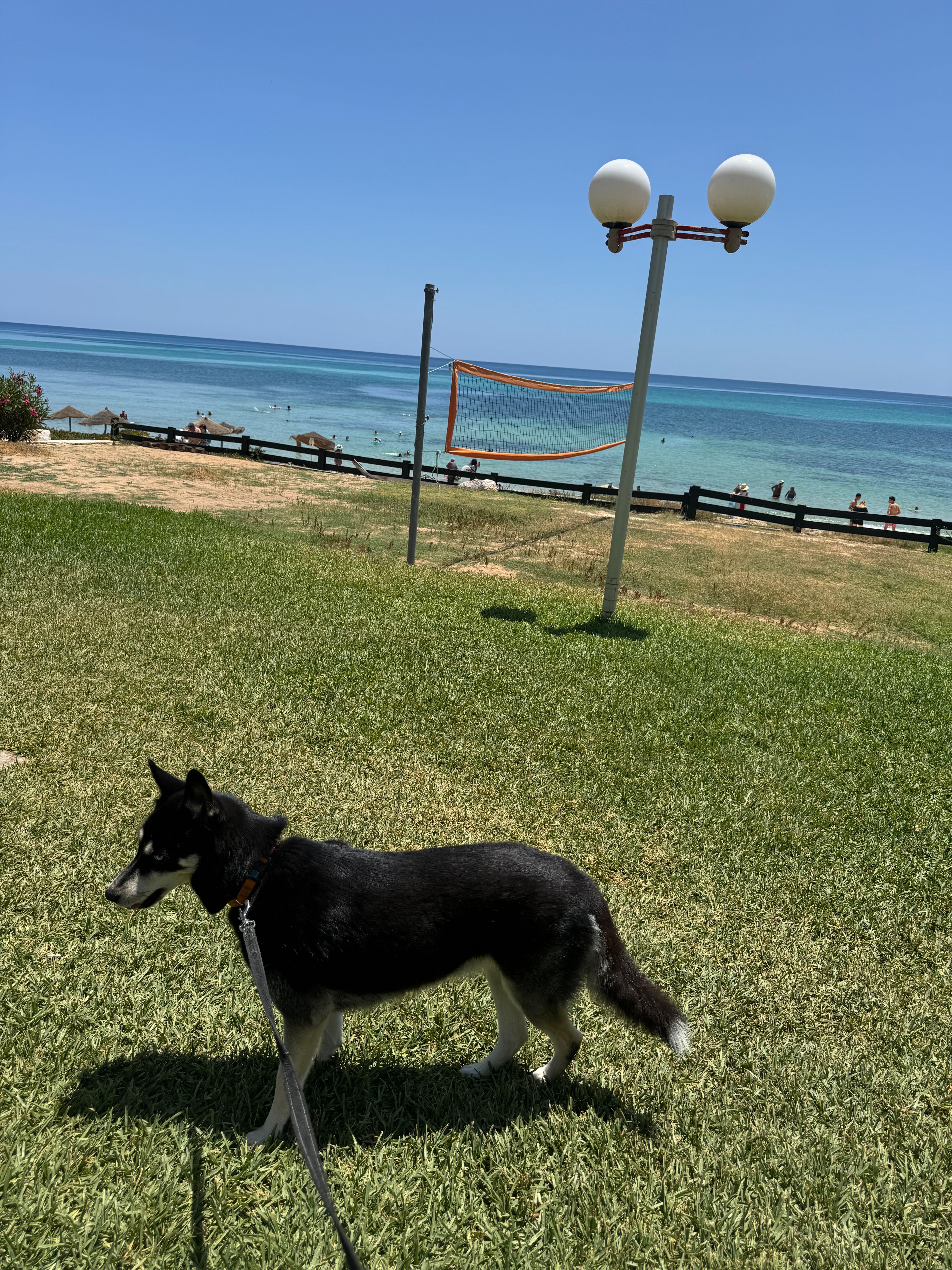 image-4
