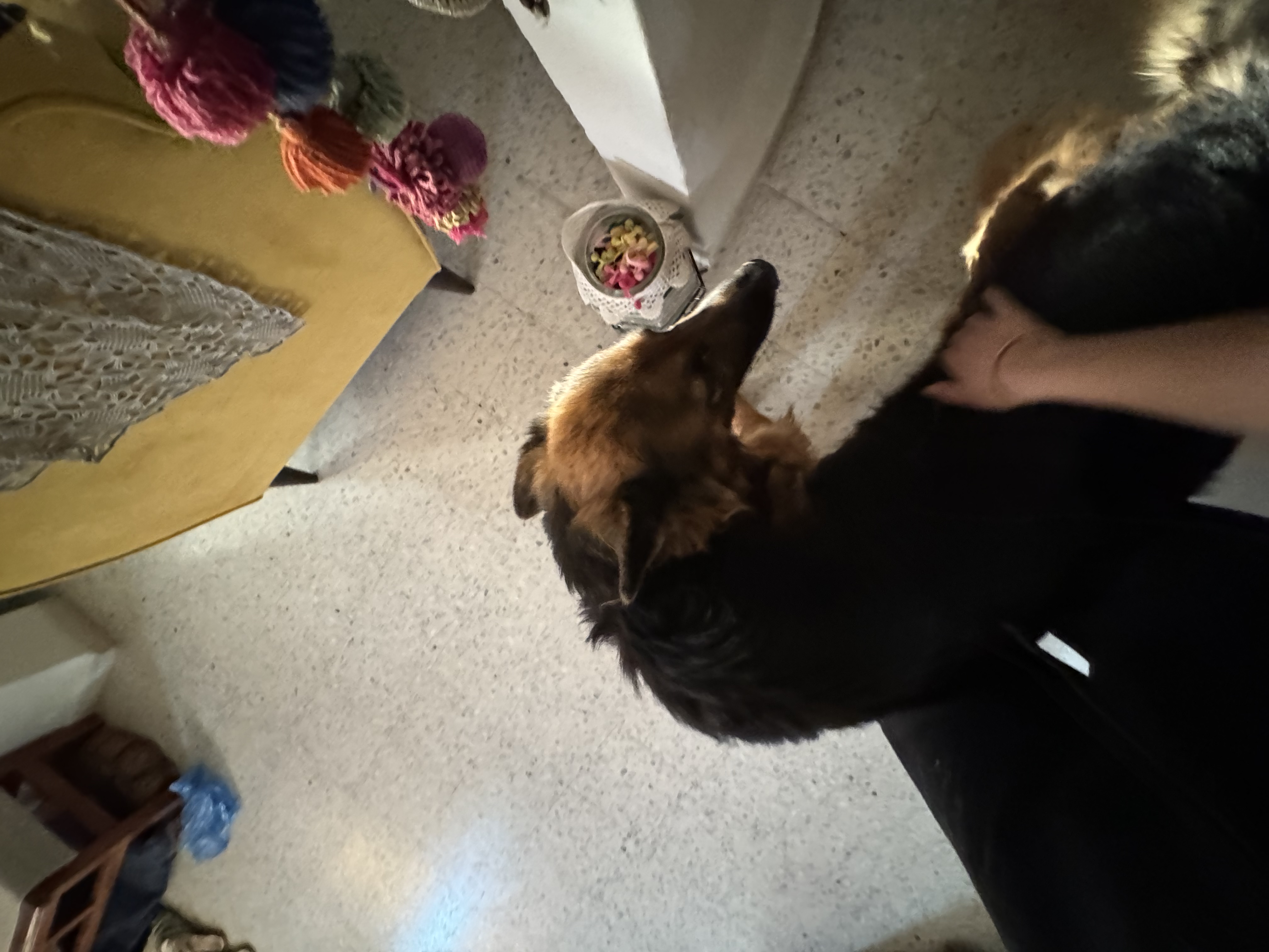 image-9
