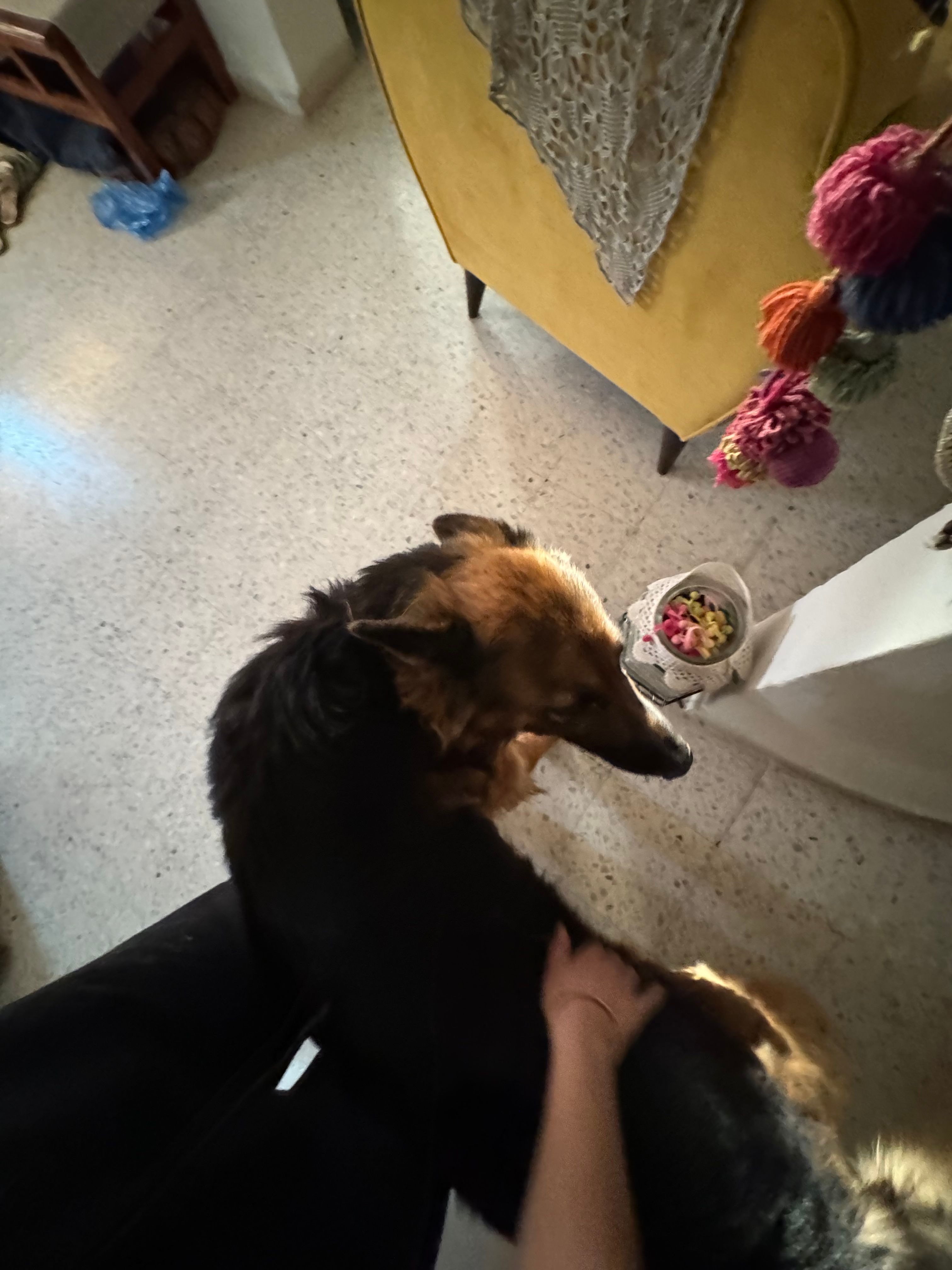 image-9