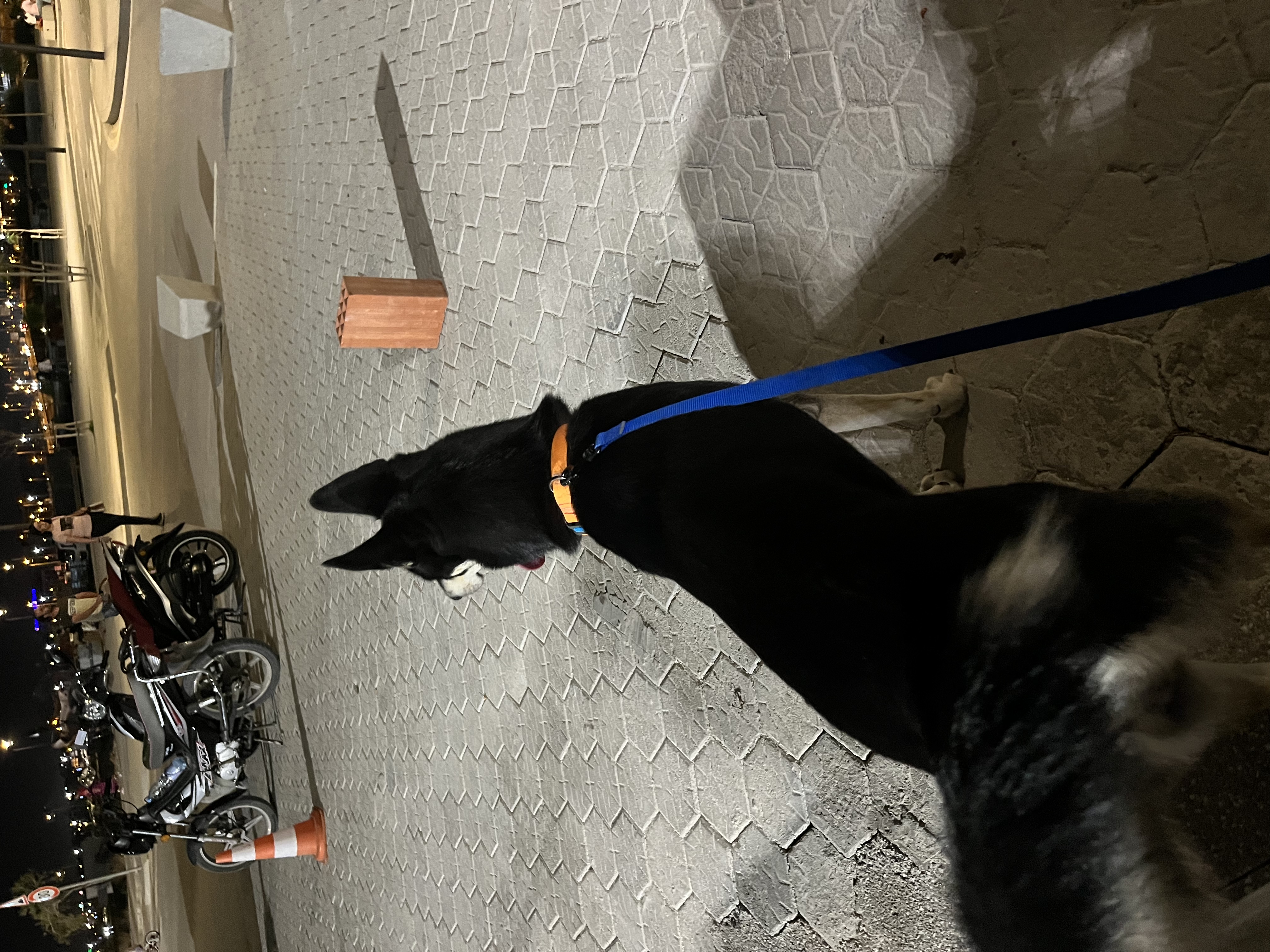 image-15