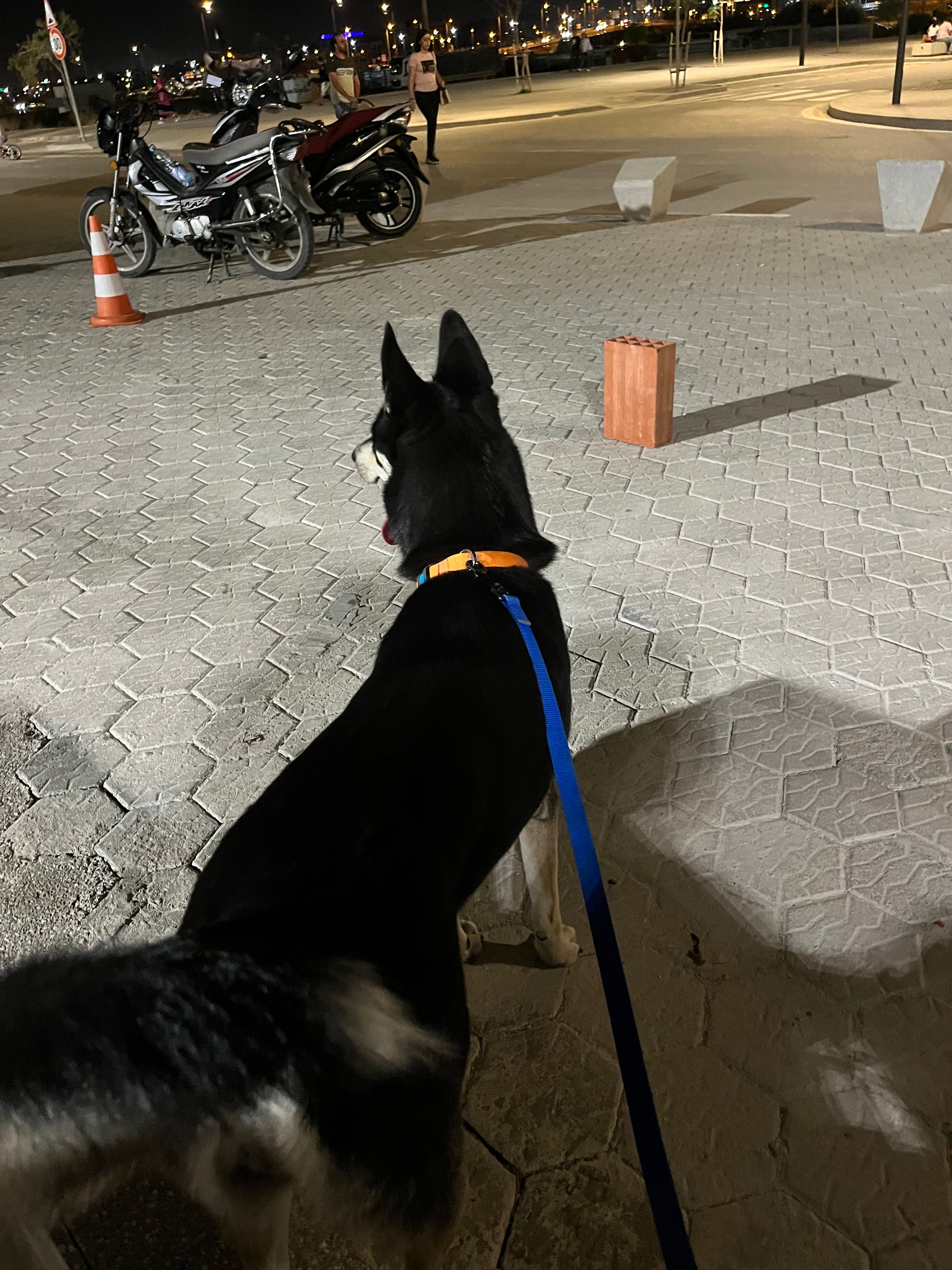 image-15