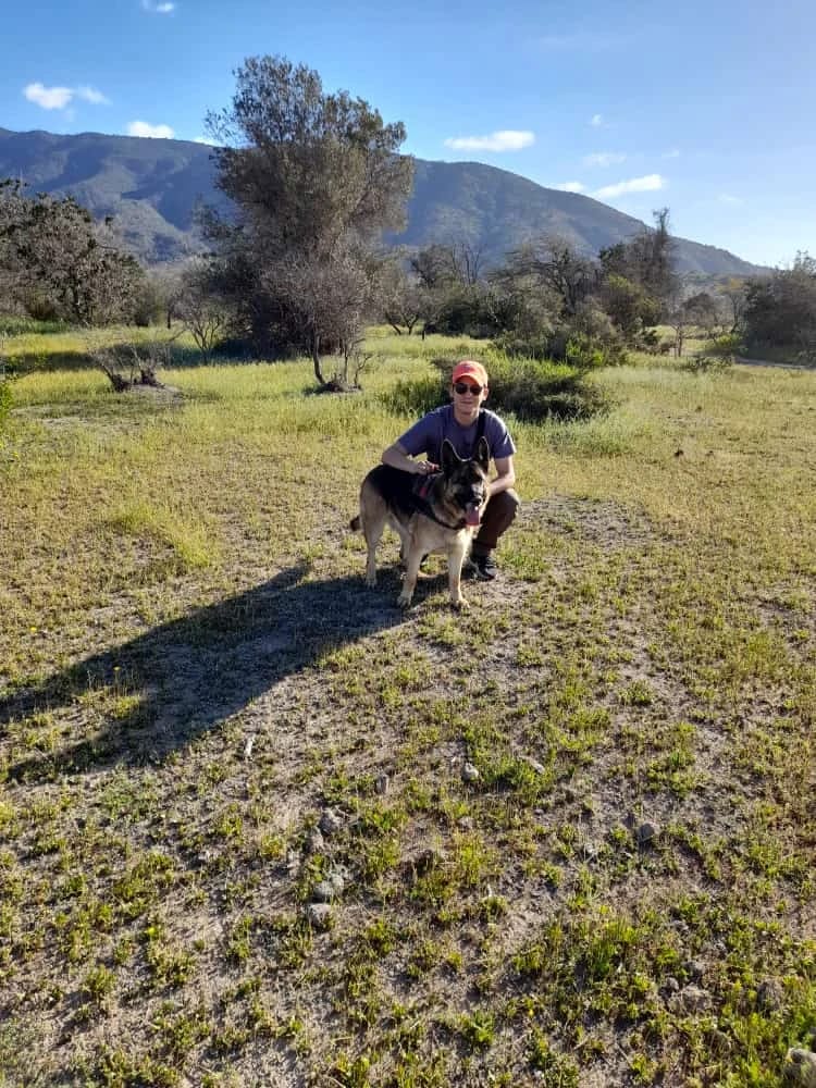 image-4