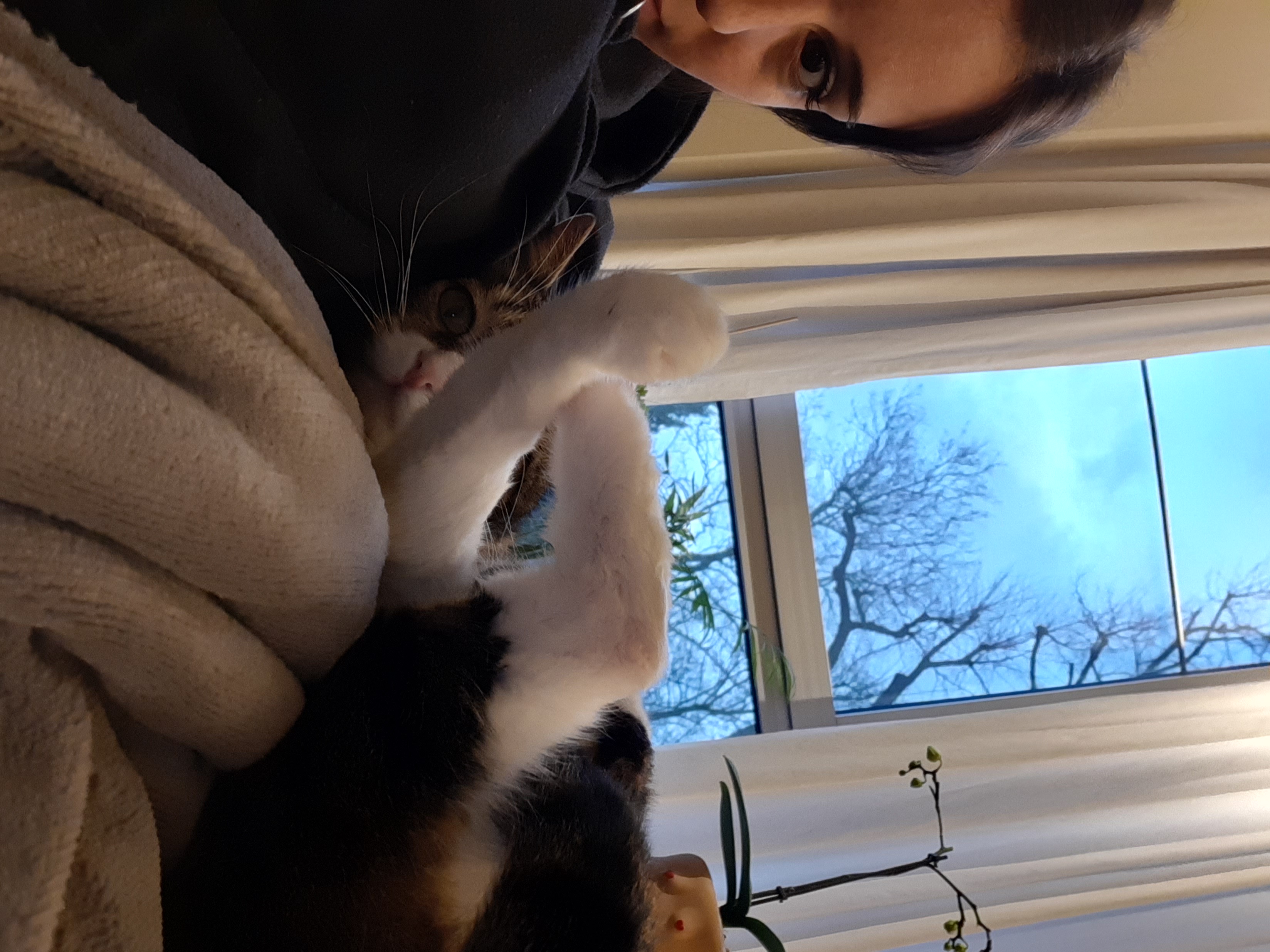 image-7