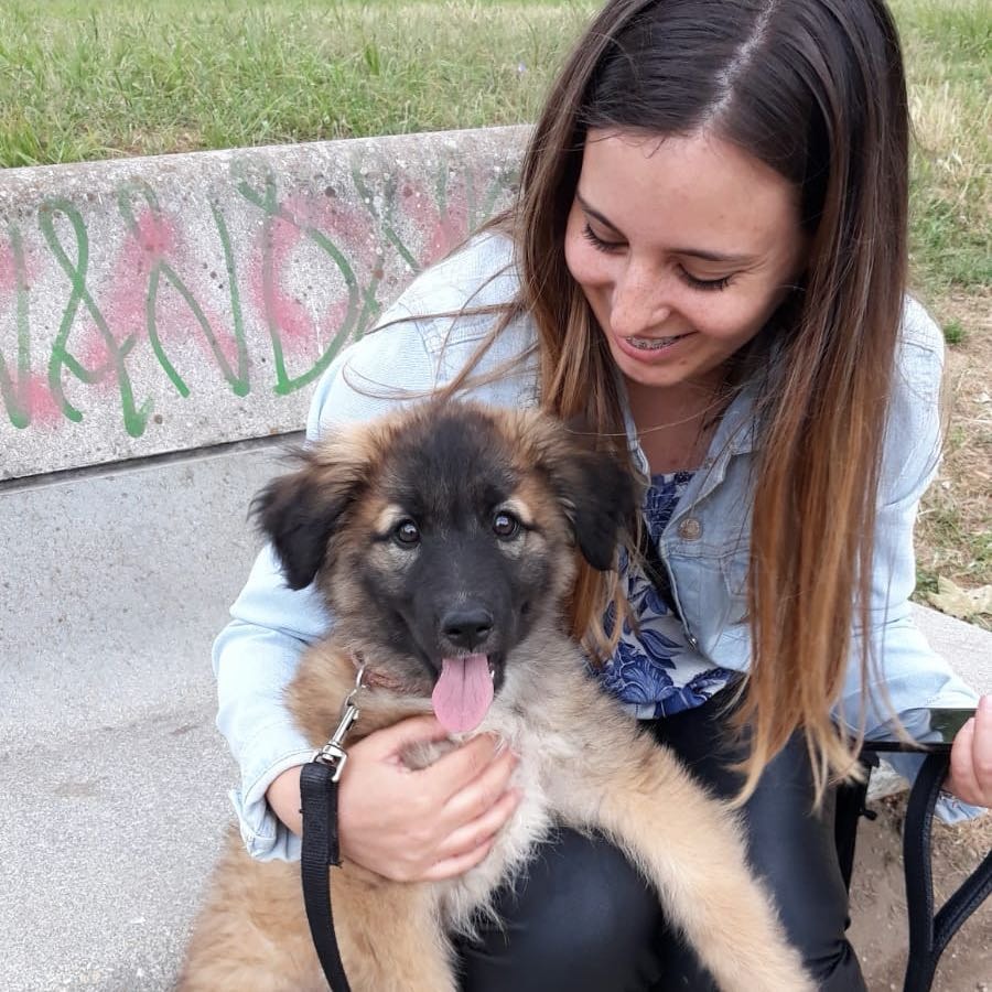 Sofia