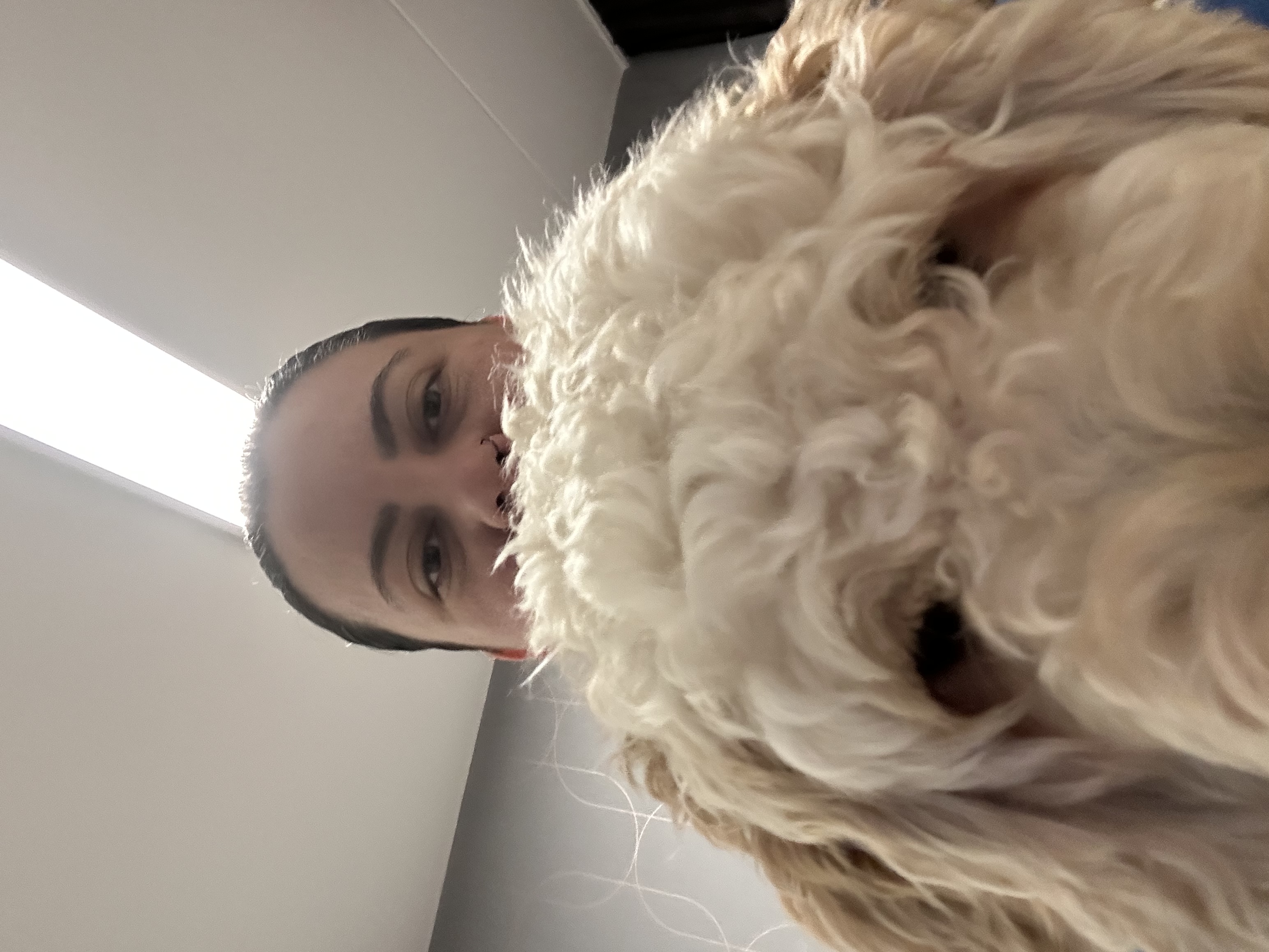 image-11