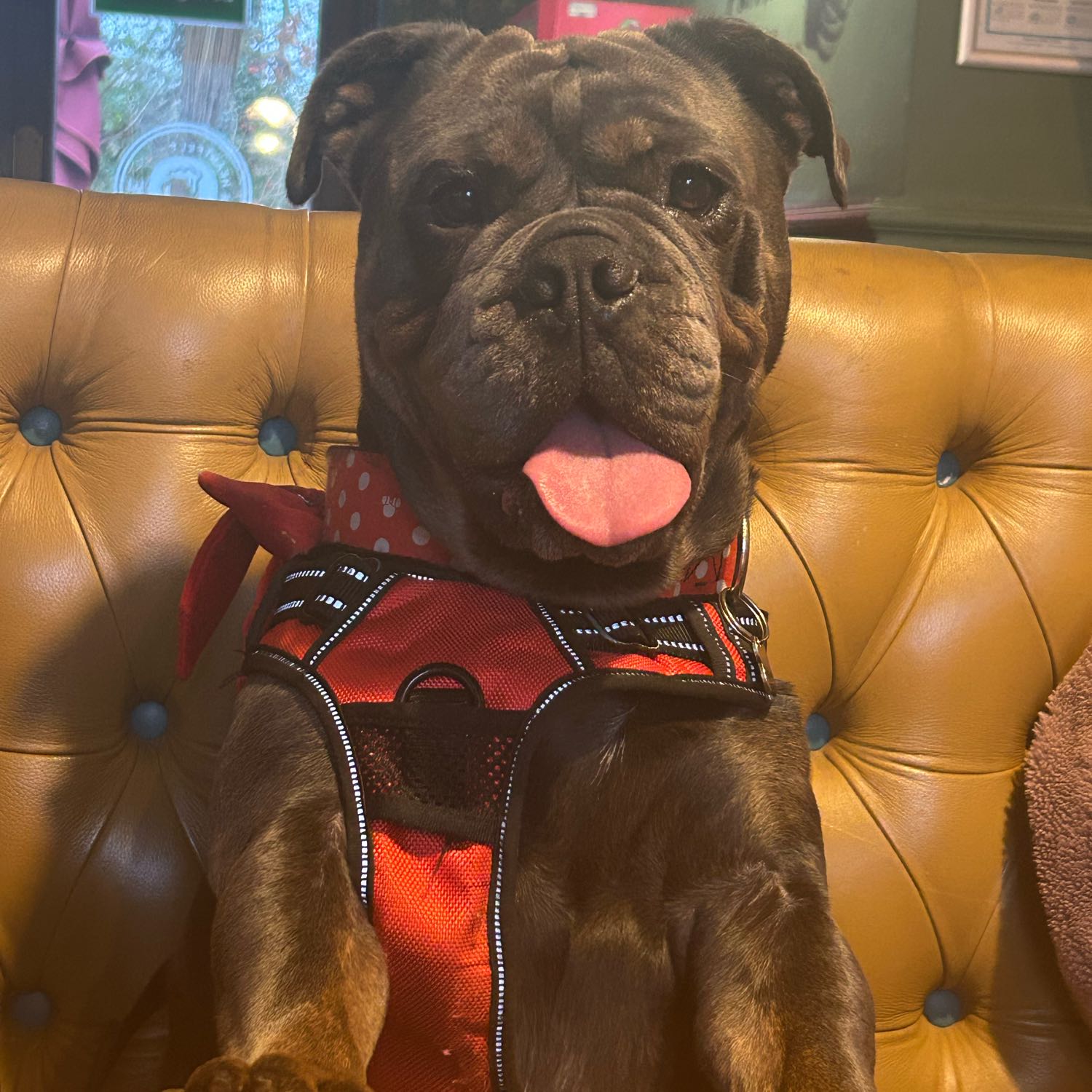 Minnie