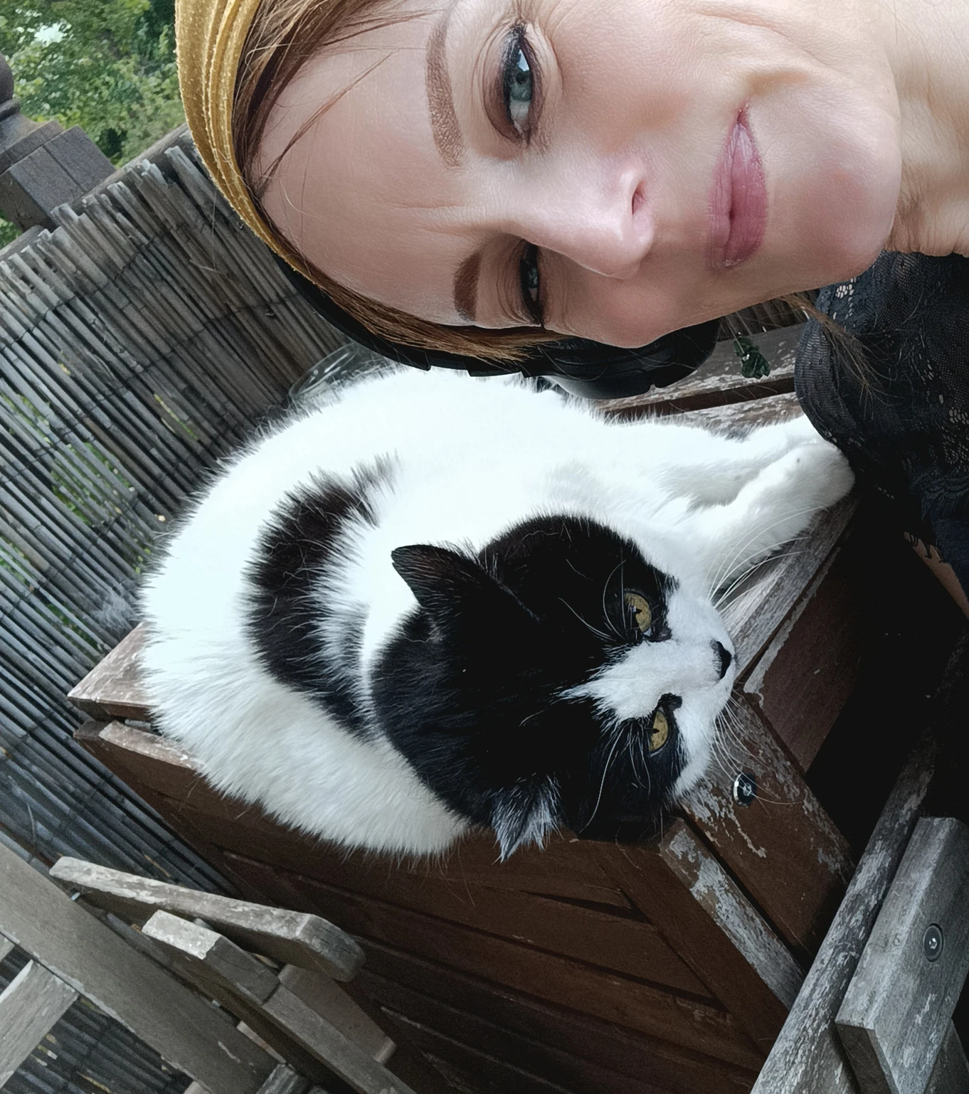 image-11