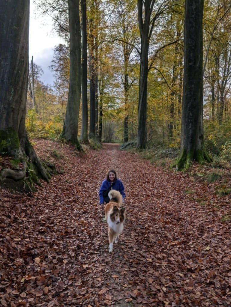 image-12