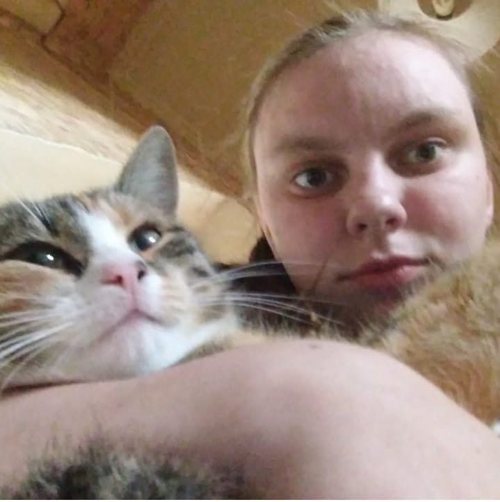 image-2